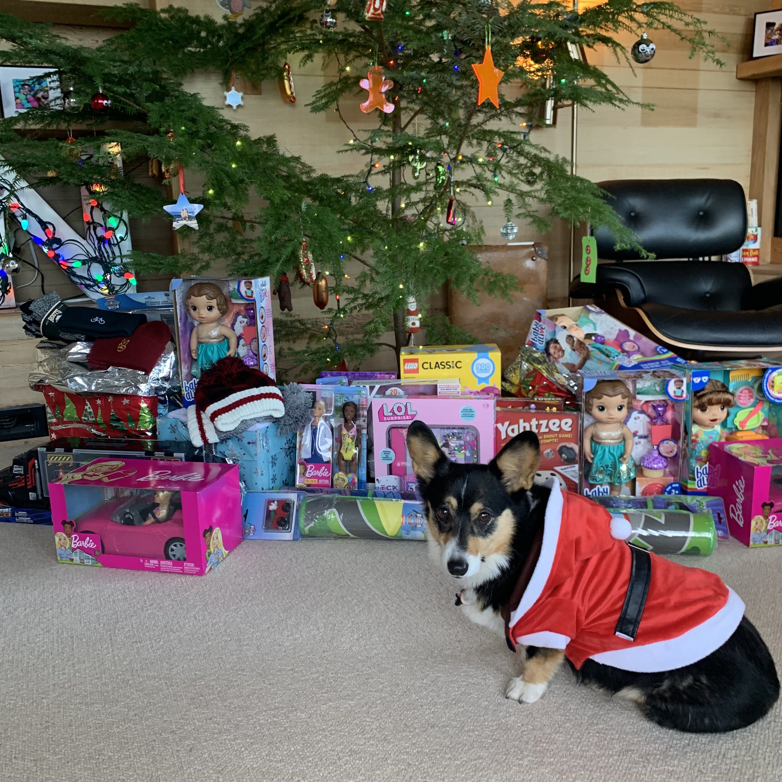 How #MisoCorgiClaus Saved Christmas