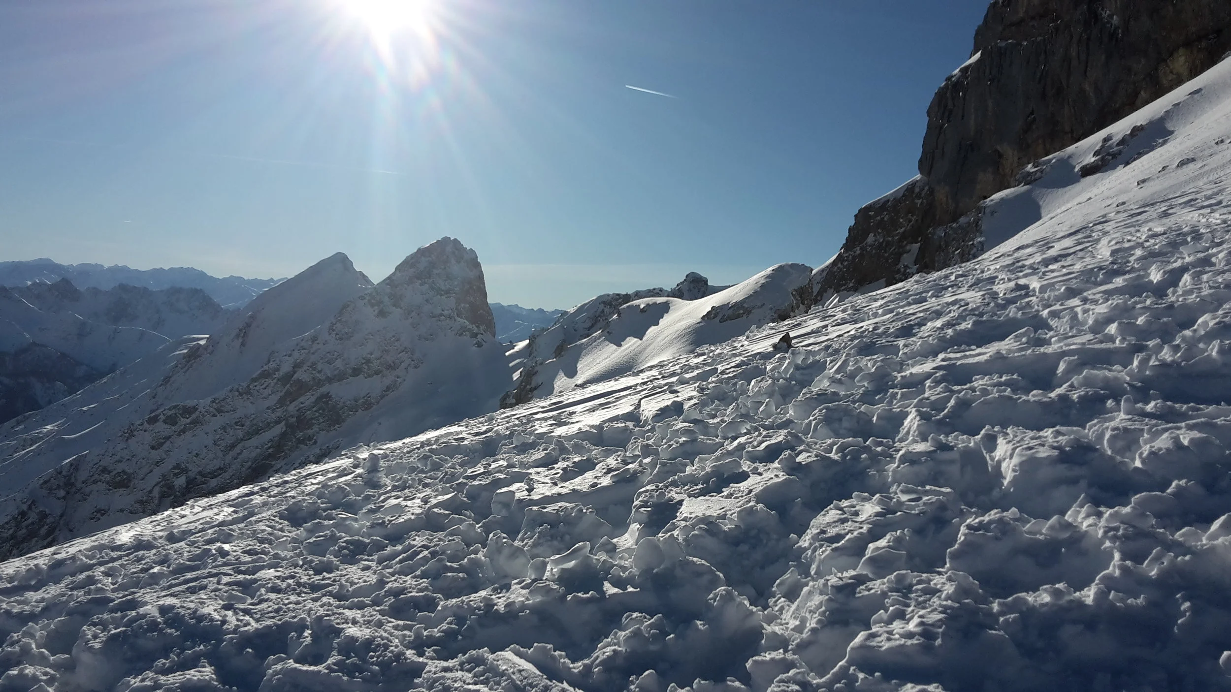 The Alps 