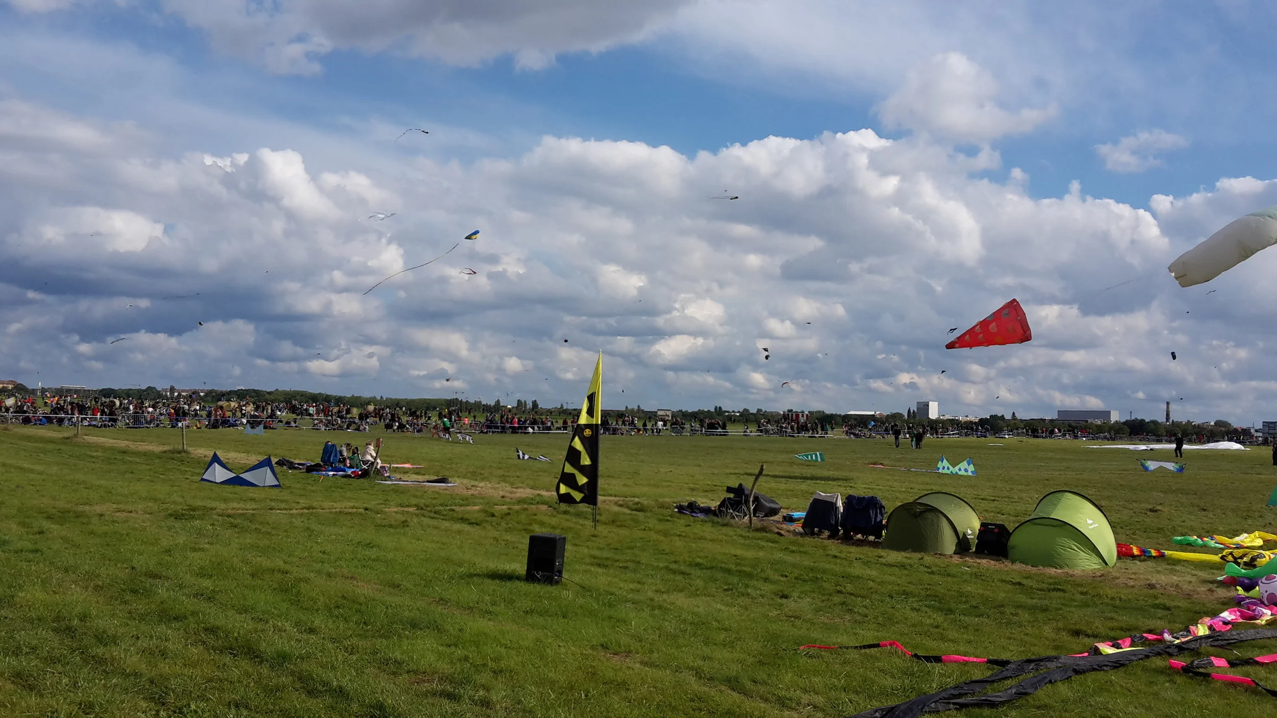 Kites in the sky 