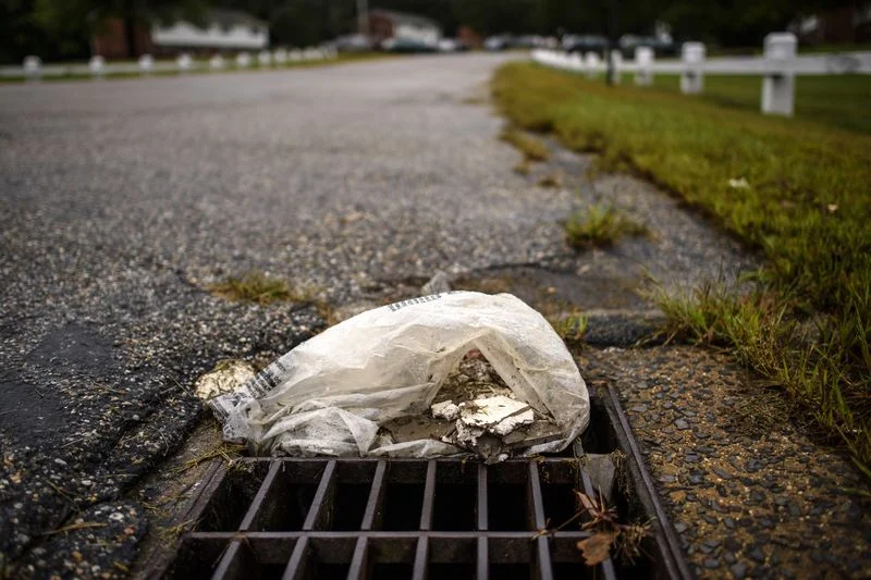 statewide plastic ban image.jpg