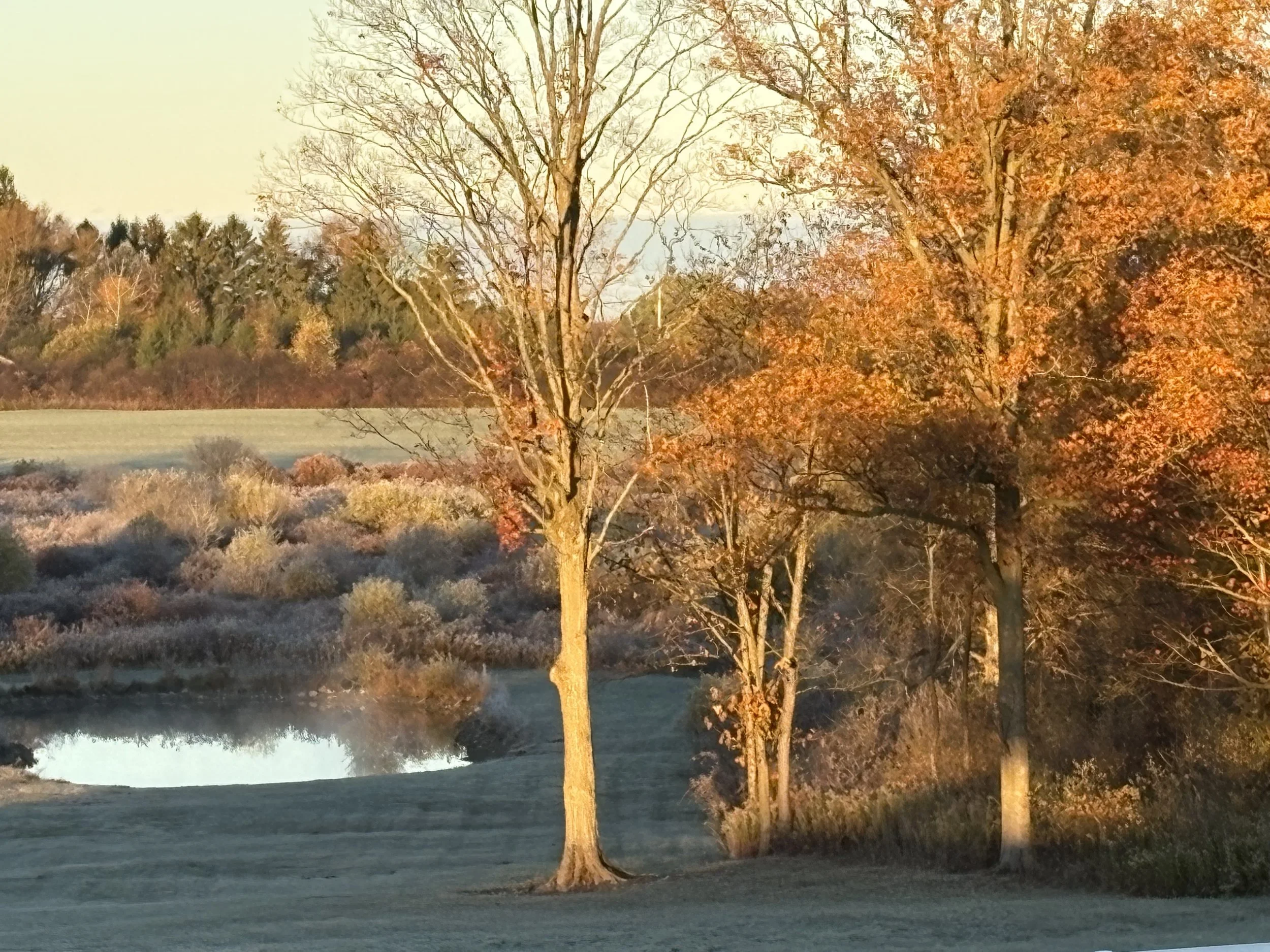 Autumn, and all the reasons I love it.