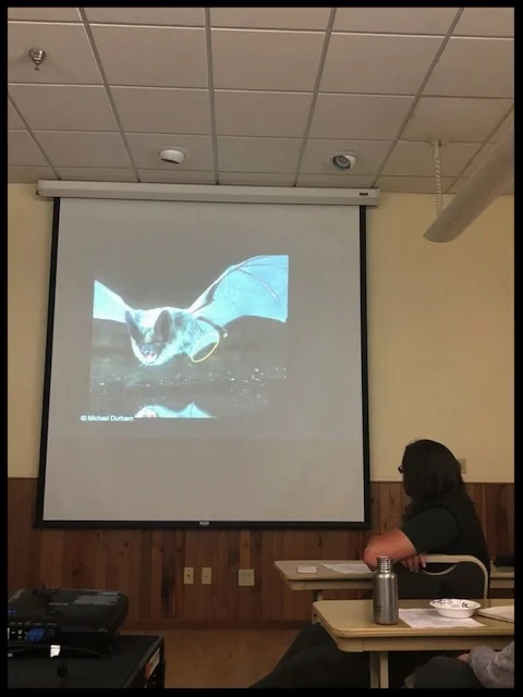 Classroom portion-Taxonomy, identification and ecology