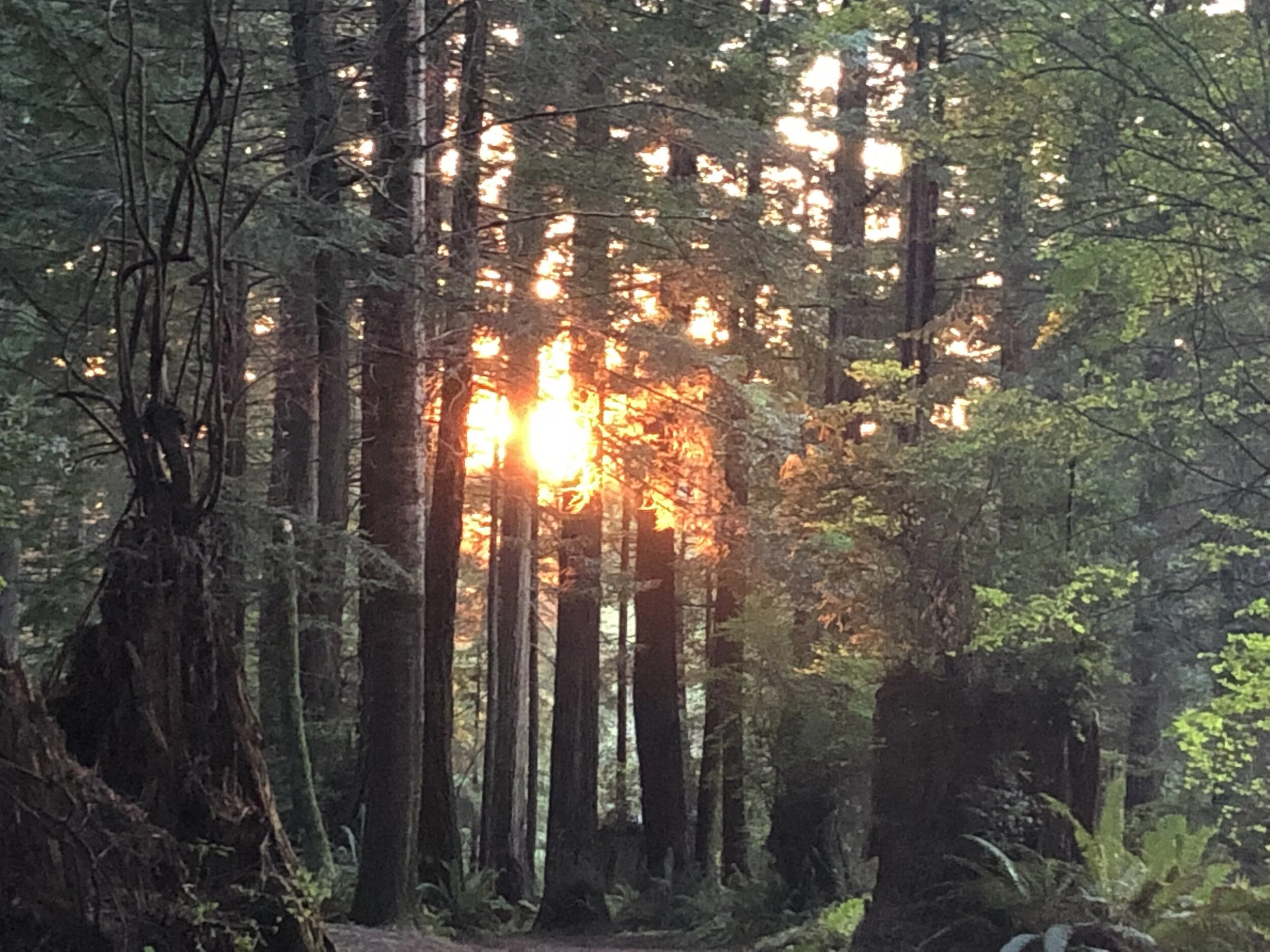 We are hiring again!