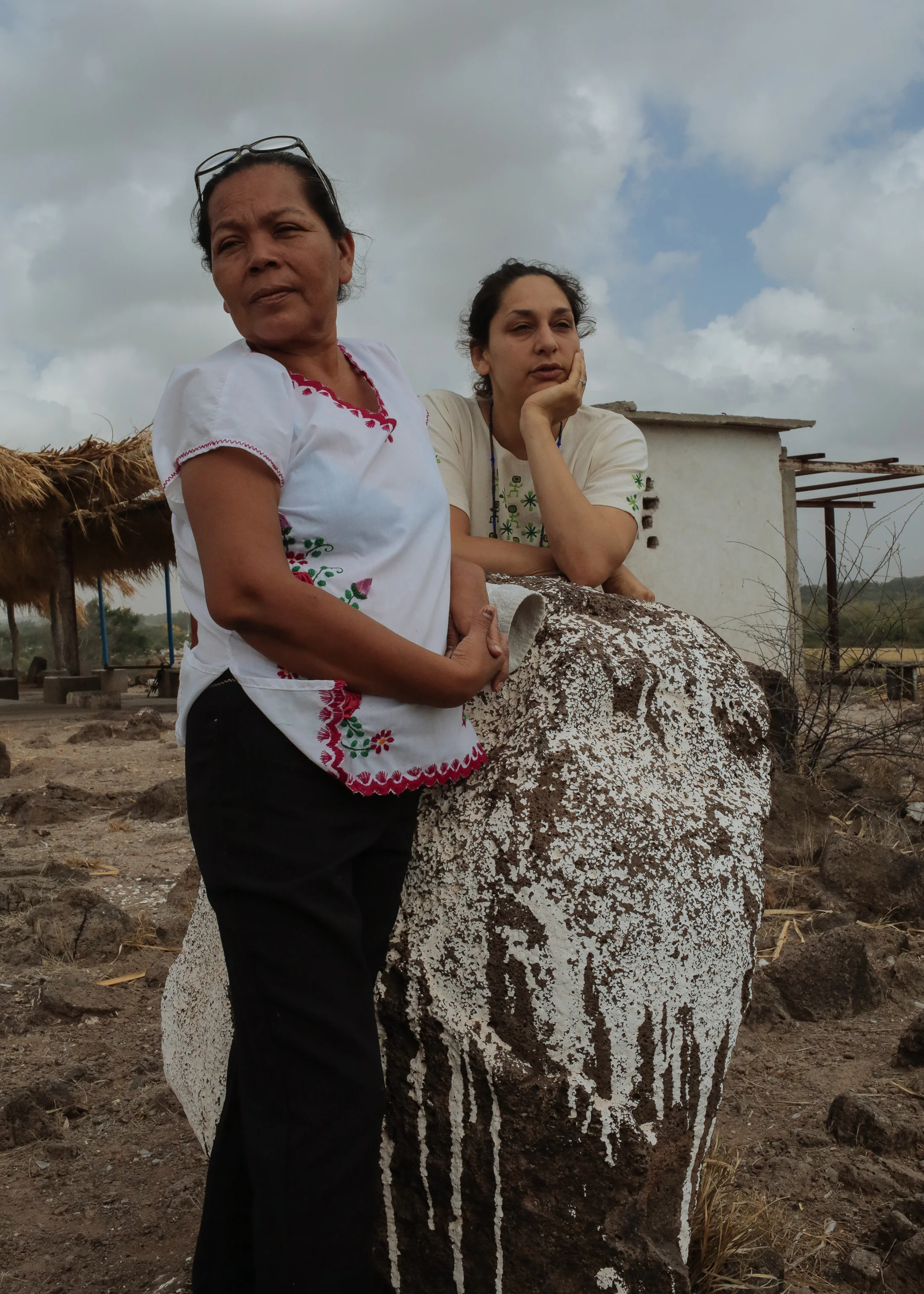 sonora_009.jpg
