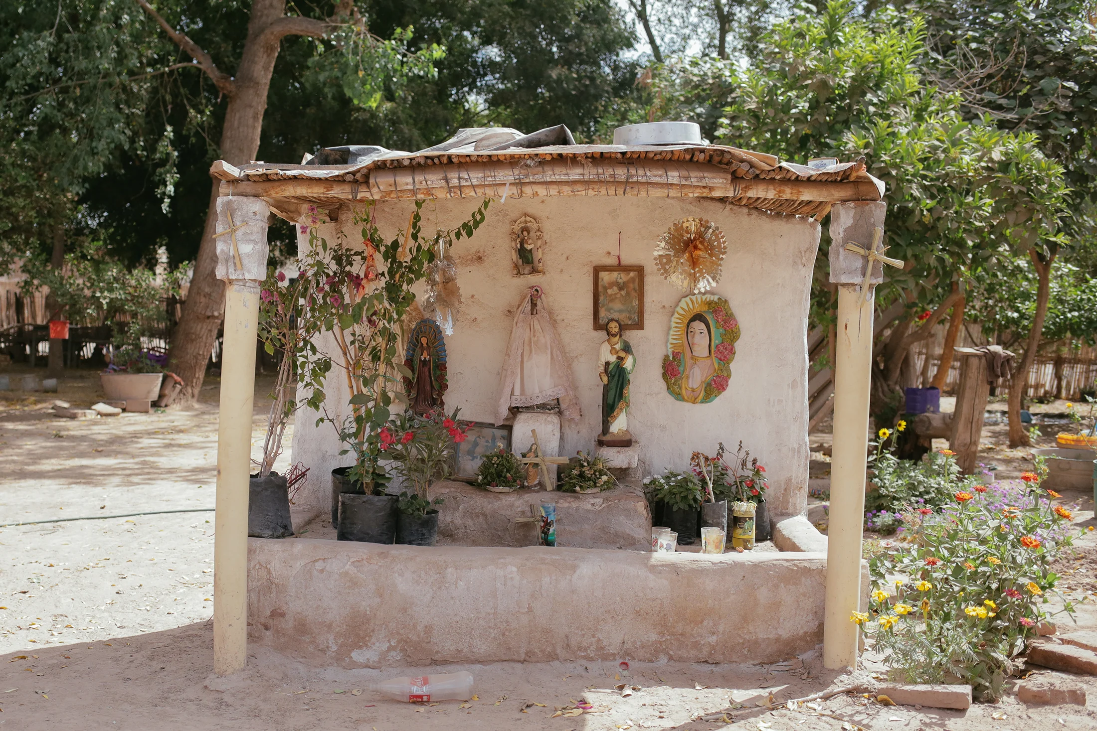 sonora_014.jpg