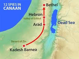 Conquerors or Grasshoppers?