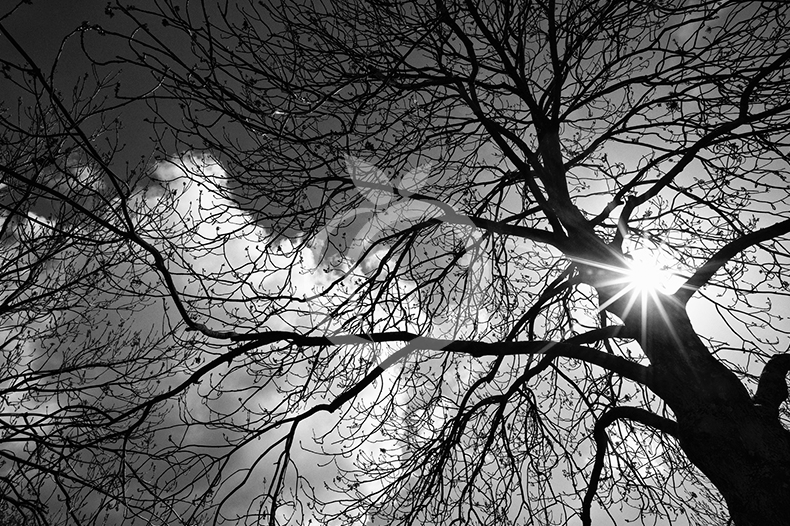 Lessons from Troubled Times