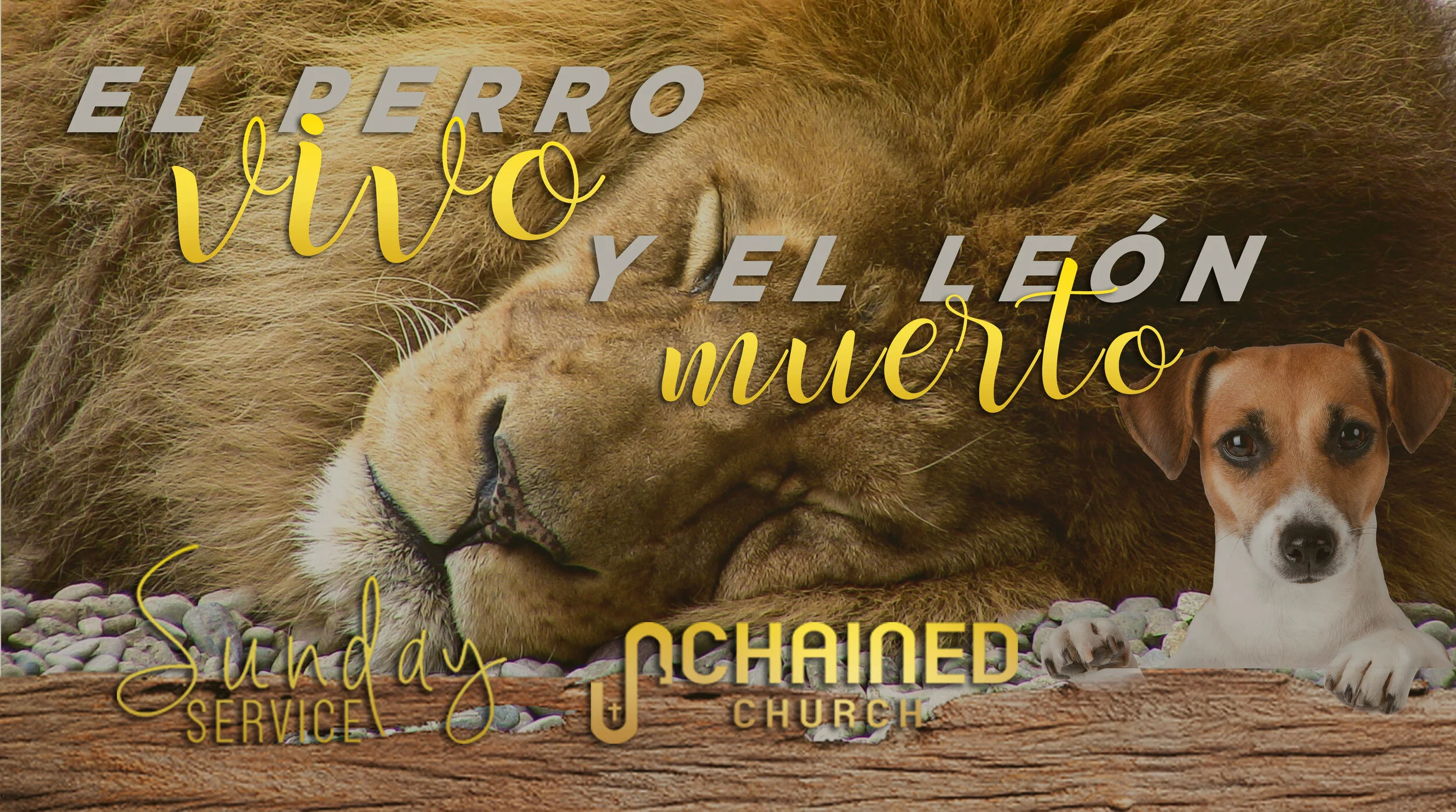 El perro vivo y el leon muerto