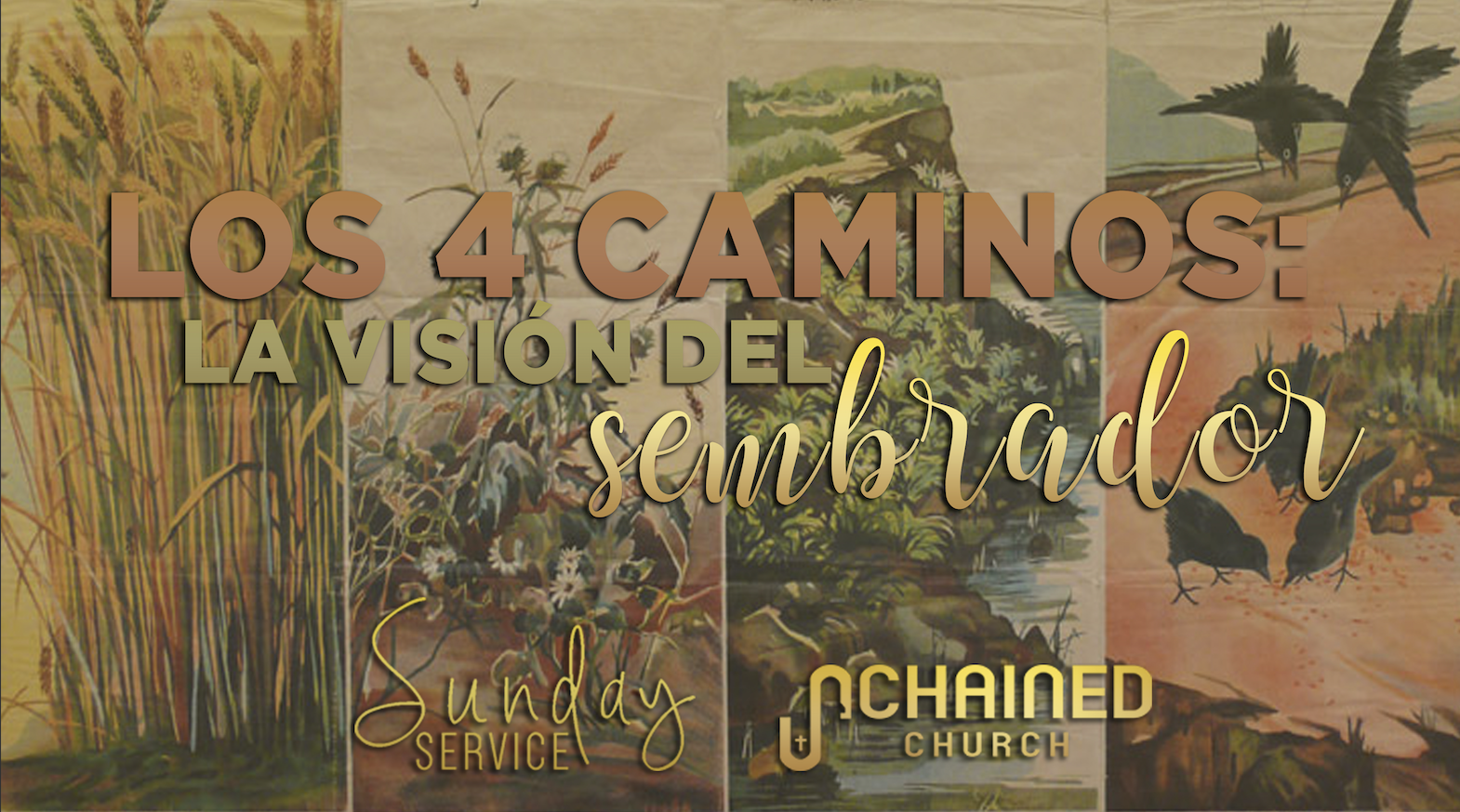 Los 4 caminos: la vision del sembrador