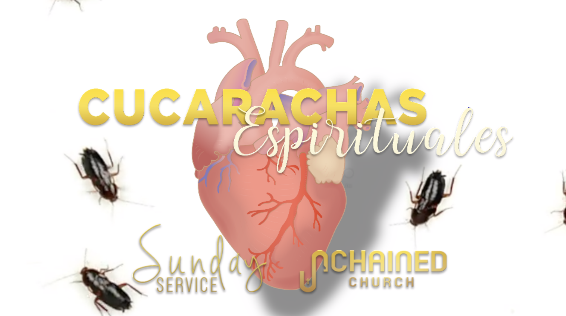 Cucarachas Espirituales
