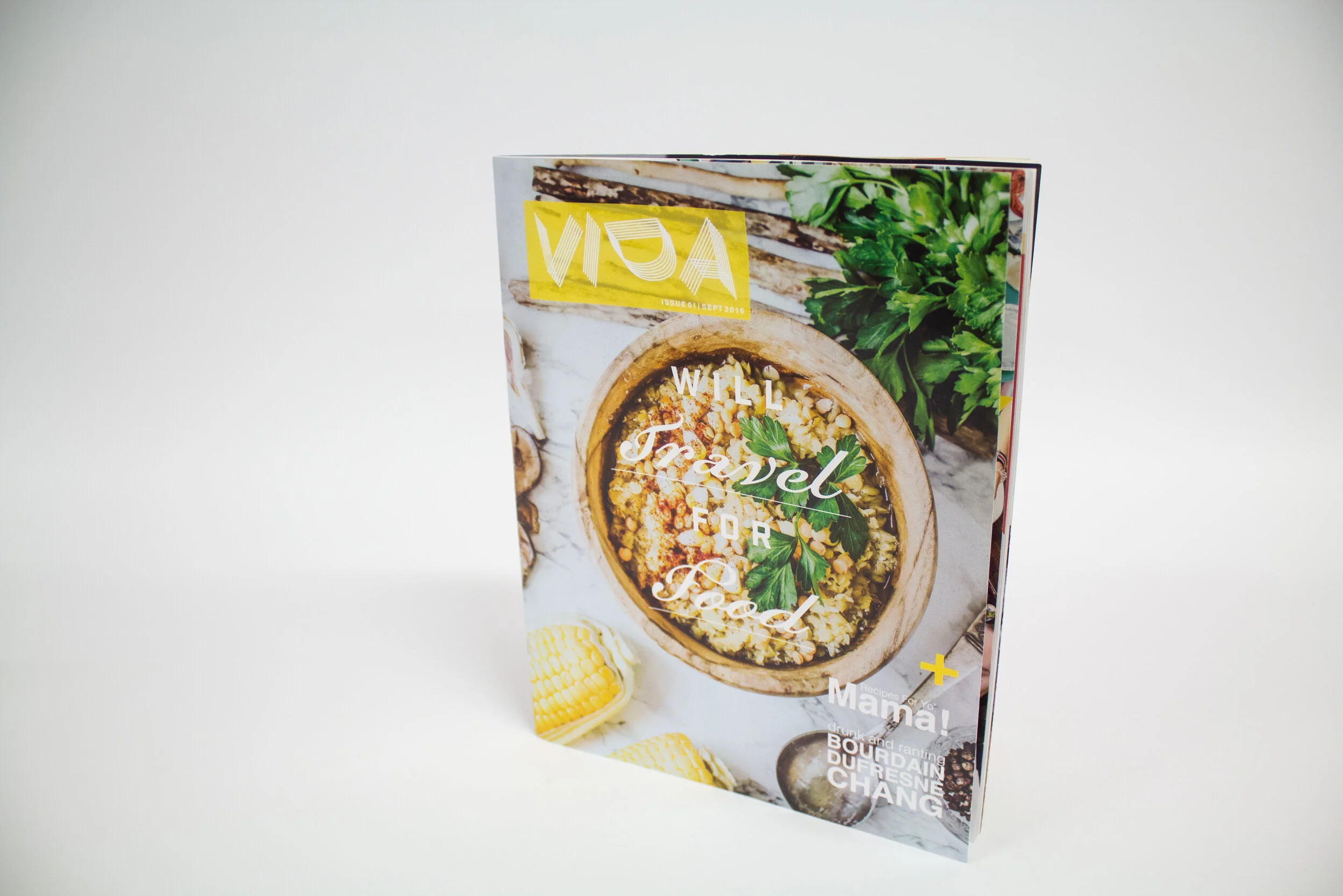 Vida_Cover.JPG