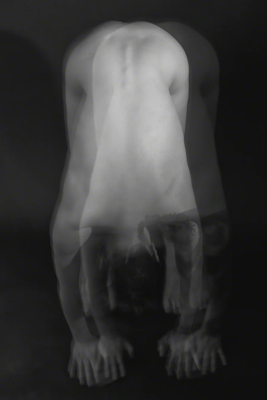 ©Lowell Flanders