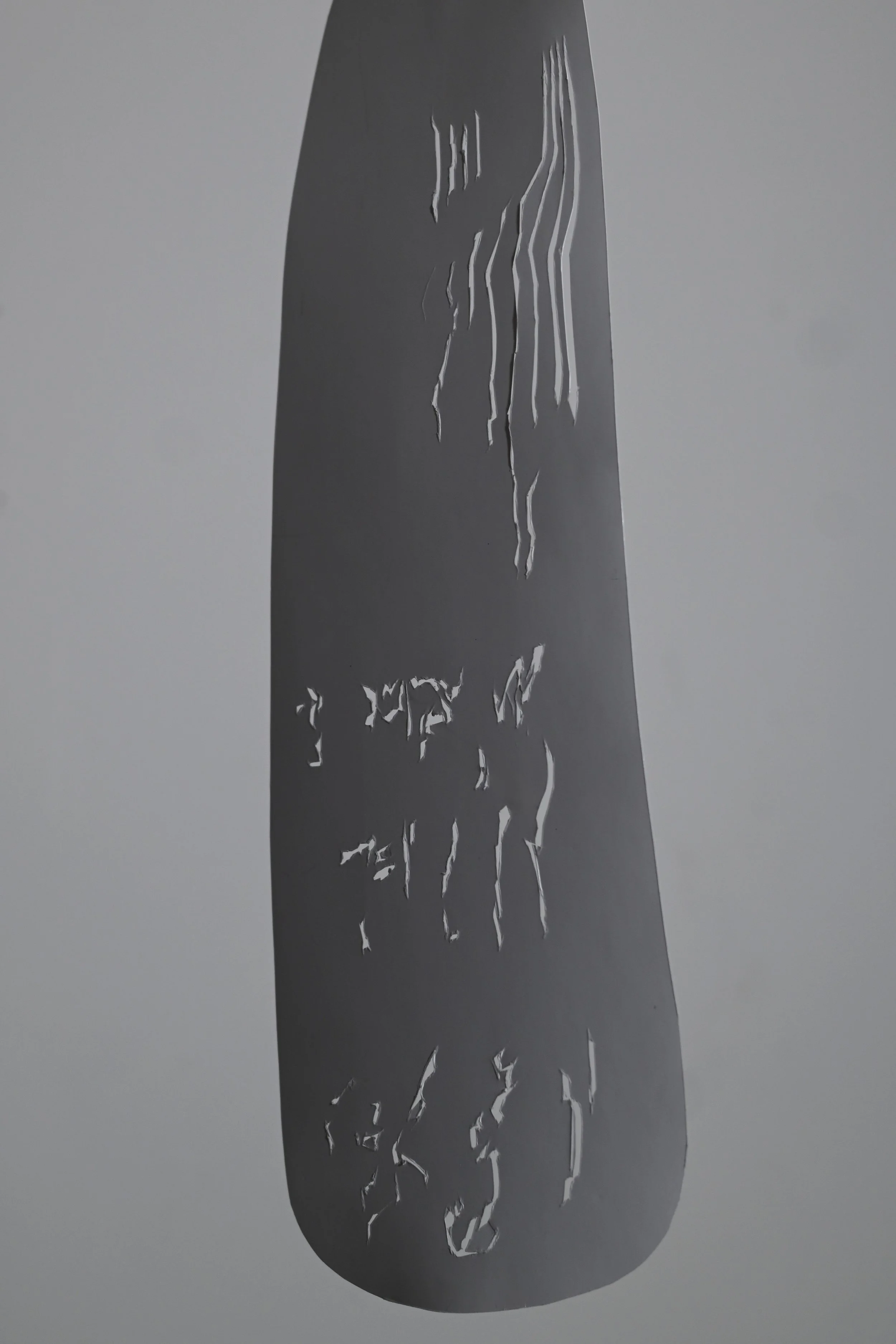 DSC_4269.jpeg