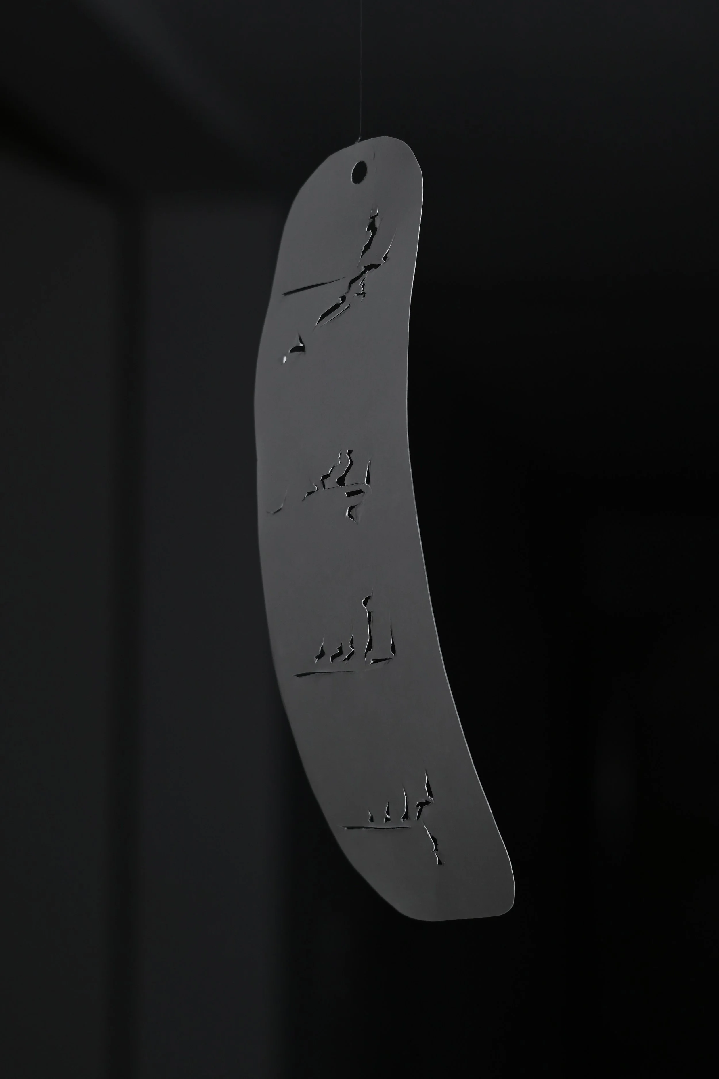 DSC_4255.jpeg