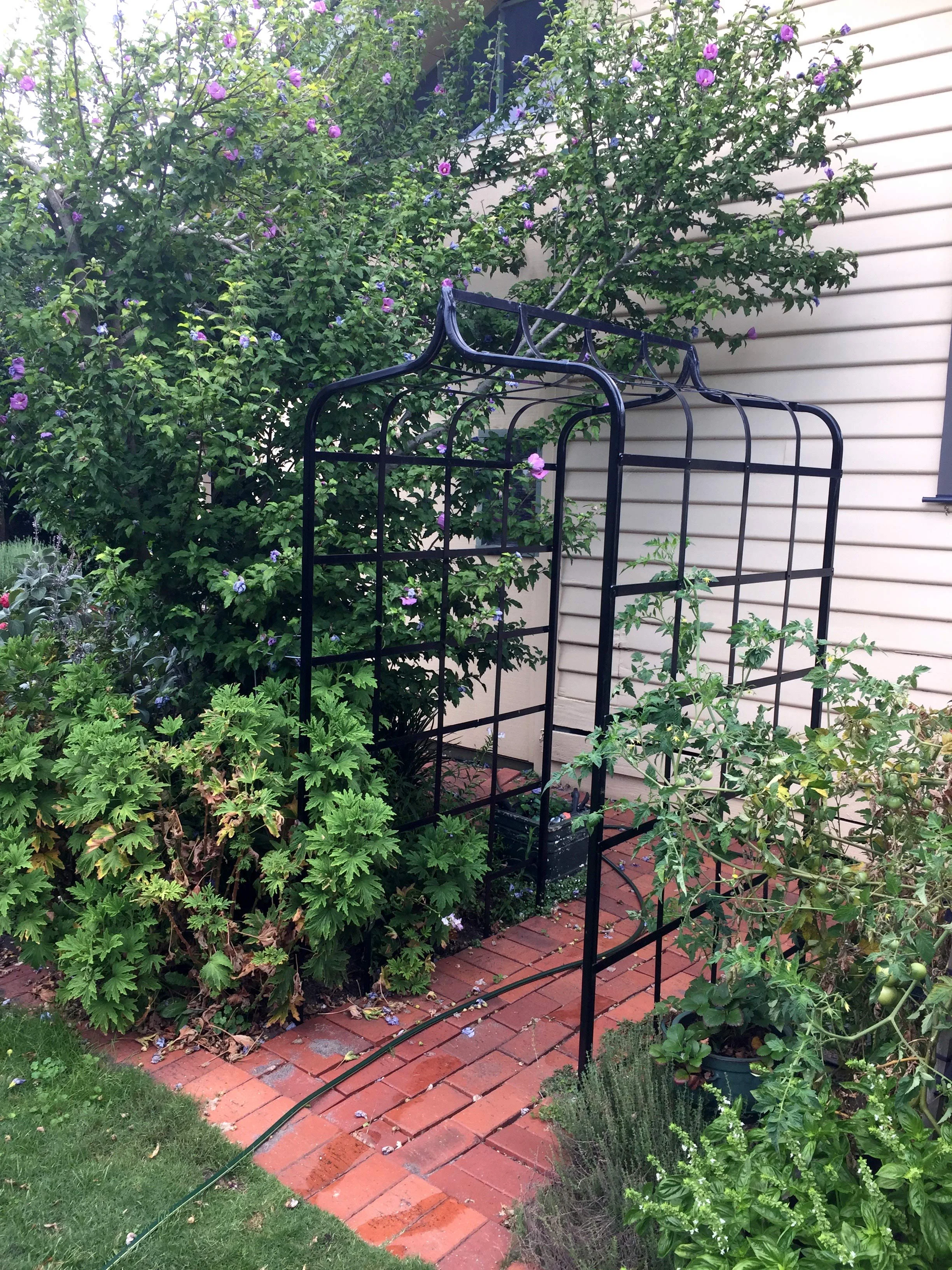 Garden Arbour