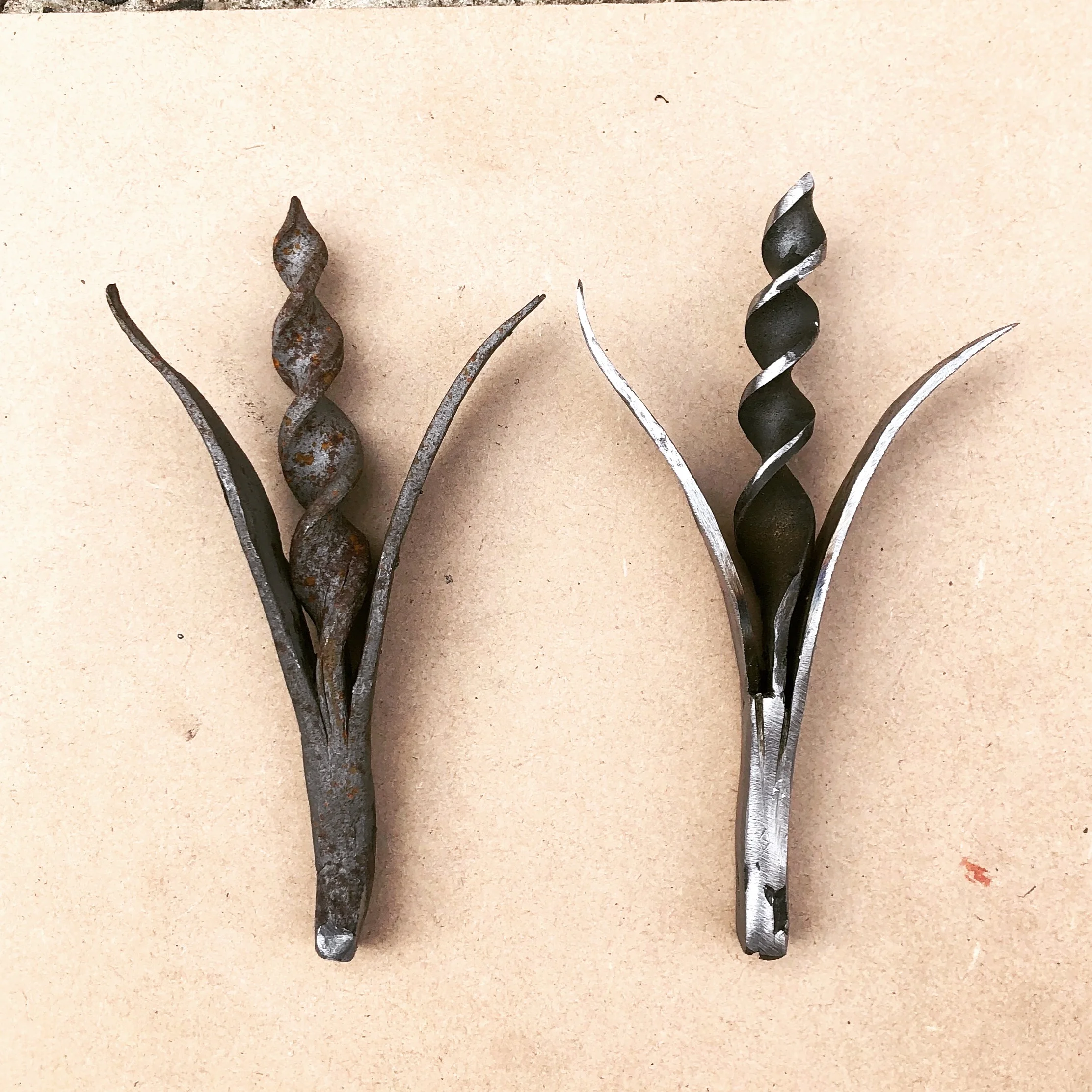 St Kilda Botanic Gardens