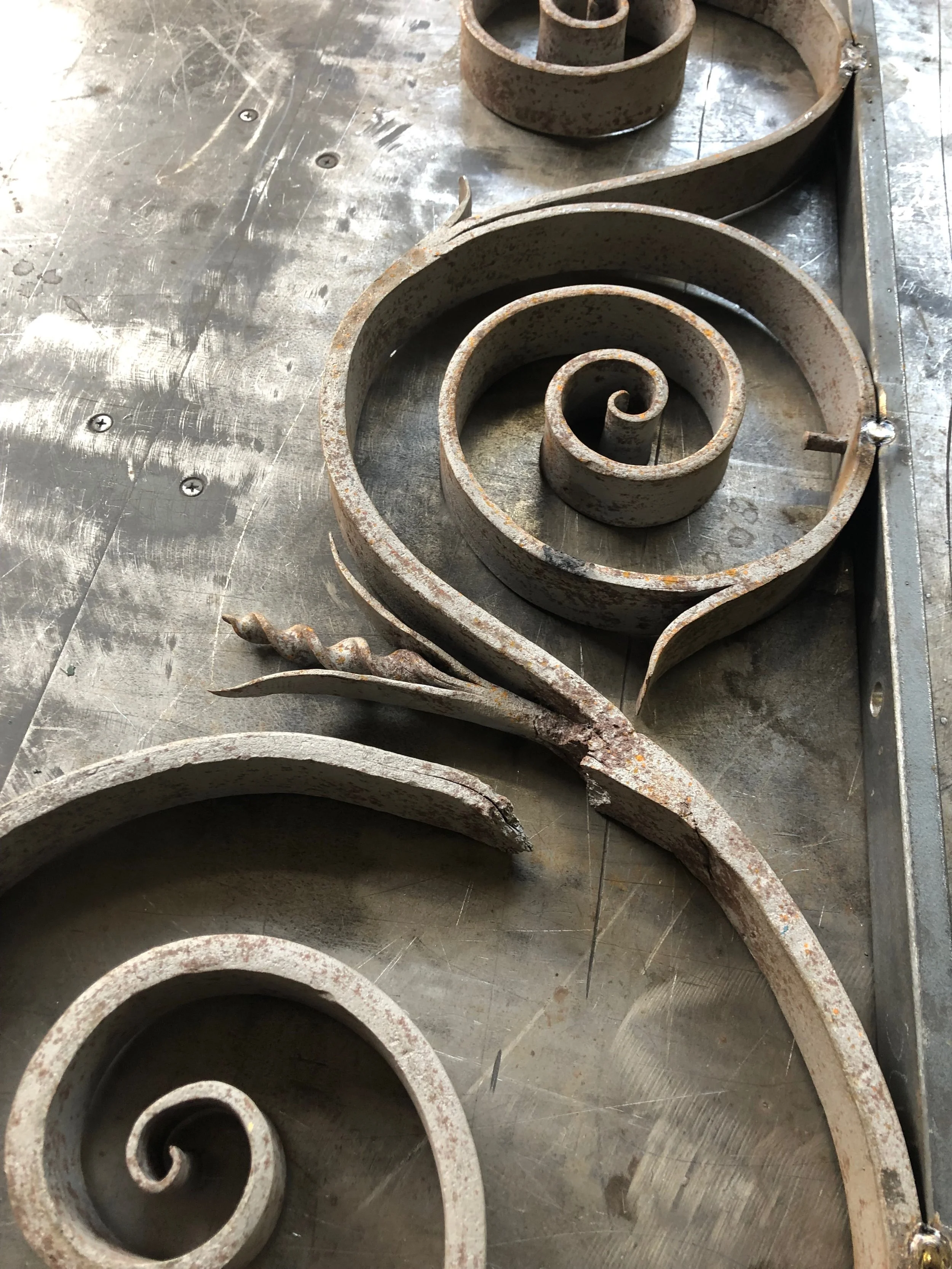 St Kilda Botanic Gardens