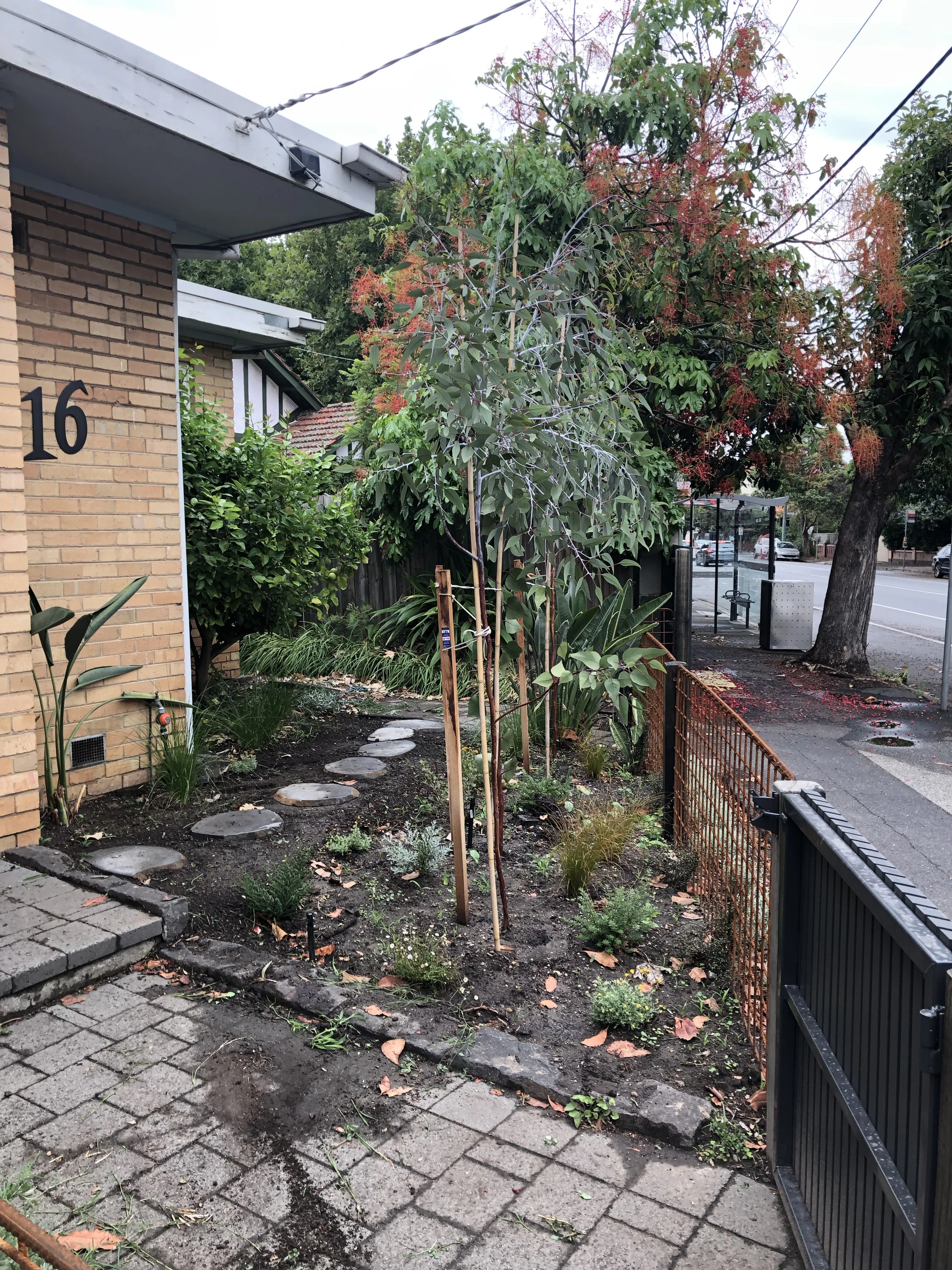 Elwood Garden - After