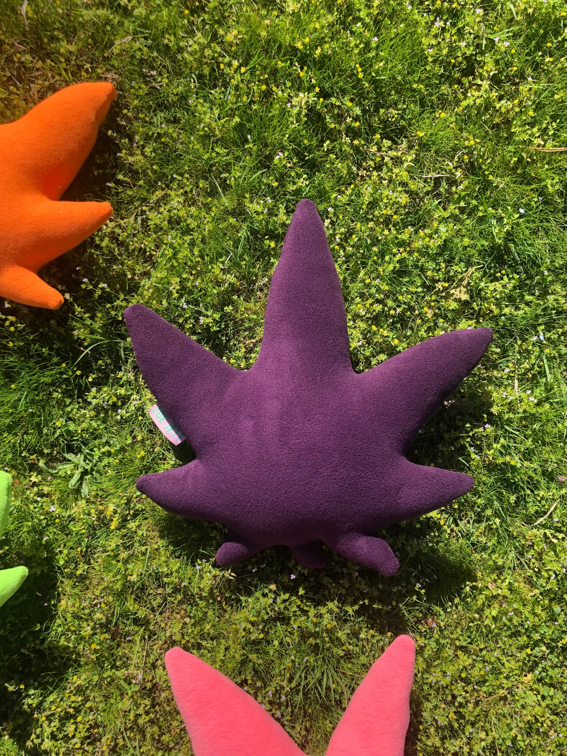 21BFC56C-862C-431B-97BF-6EF35291300B