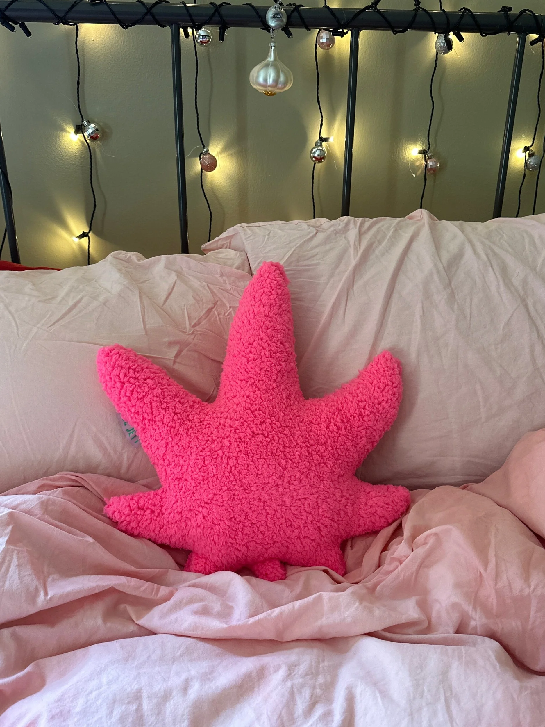 78043180-7233-4907-9F30-A9D23C0C8C76