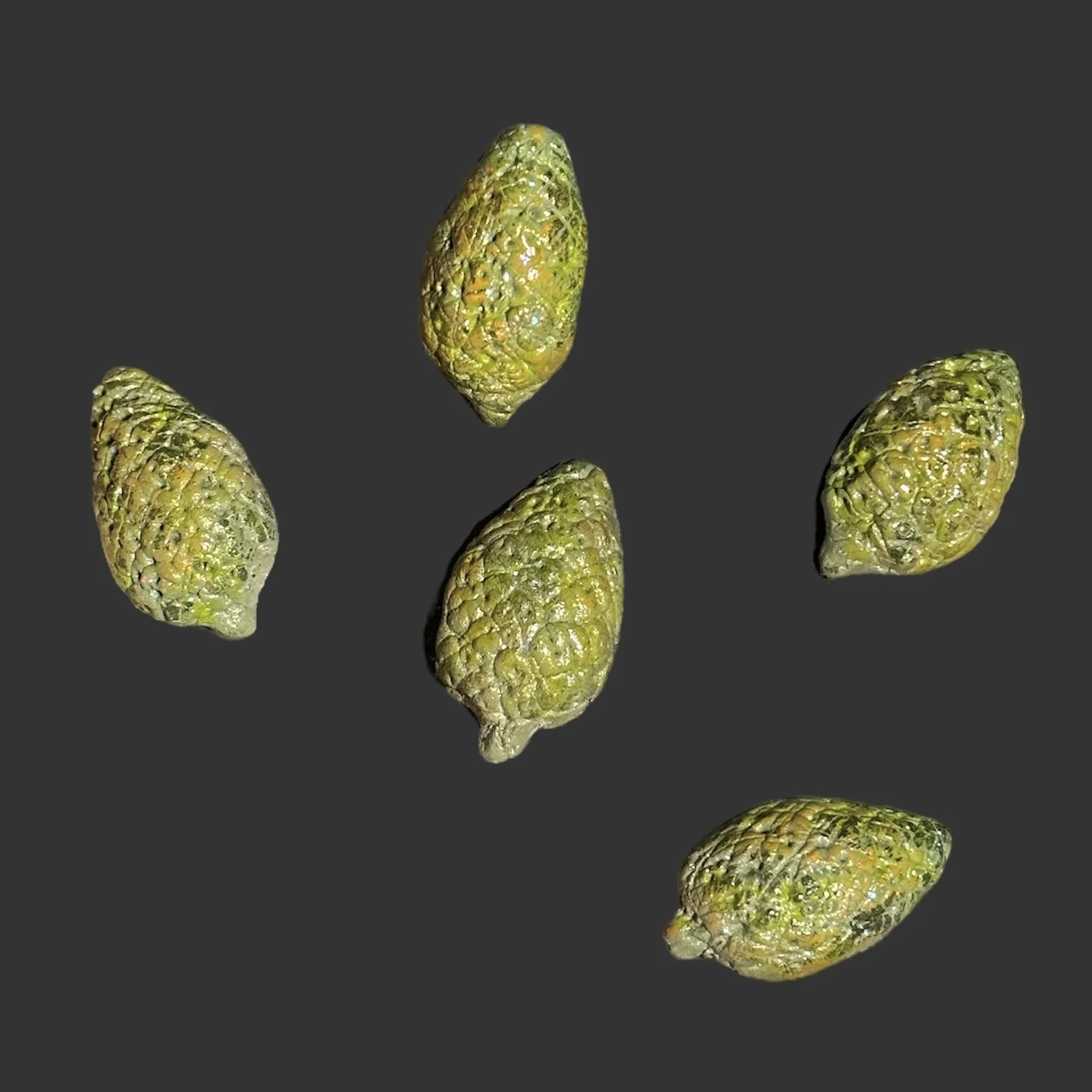 EB97E224-855F-4B07-BDFC-D3E26FF78207