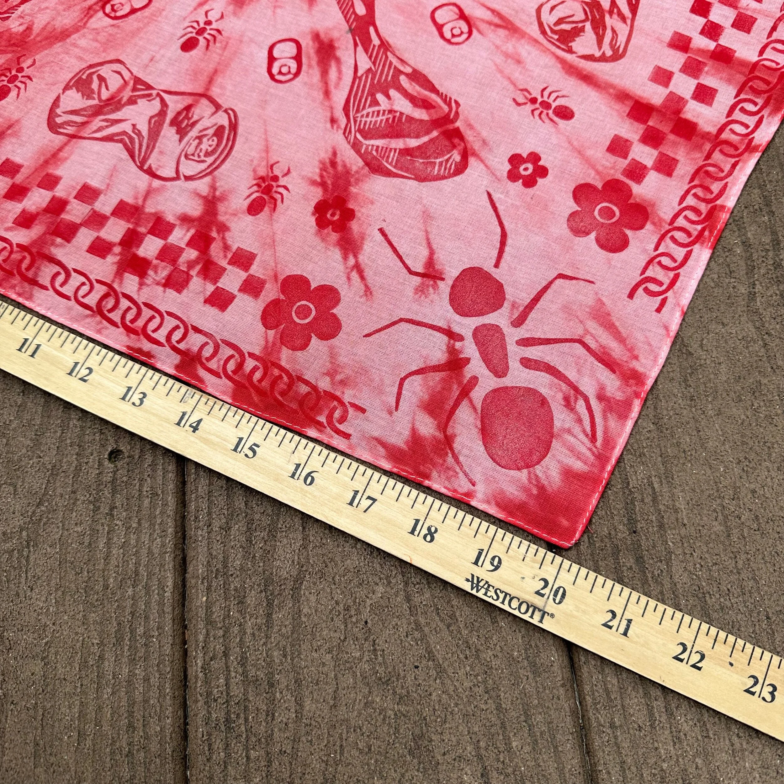 60FCE566-DA40-4D47-8108-885D30A58369