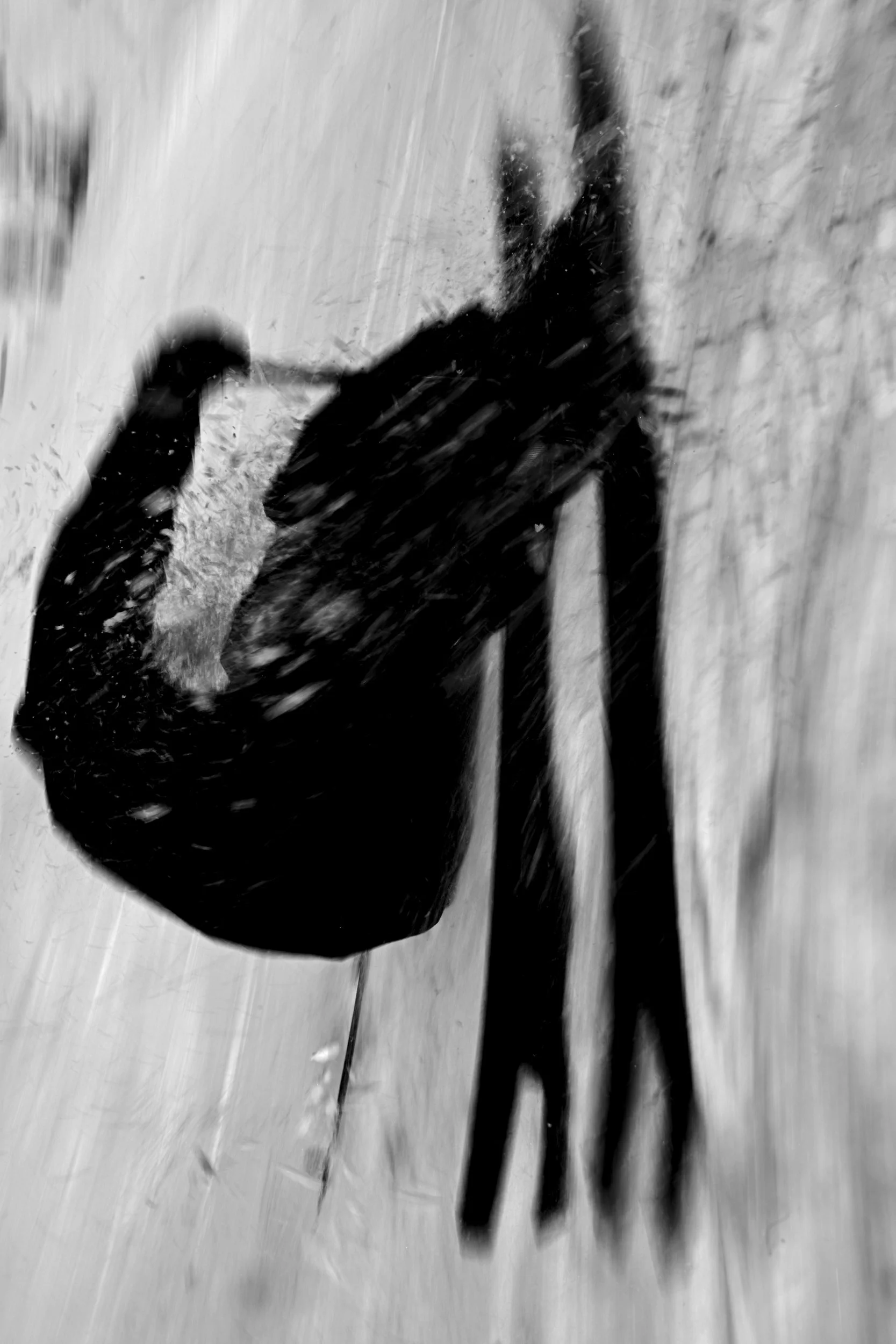 DSC_3381-Recovered.jpg
