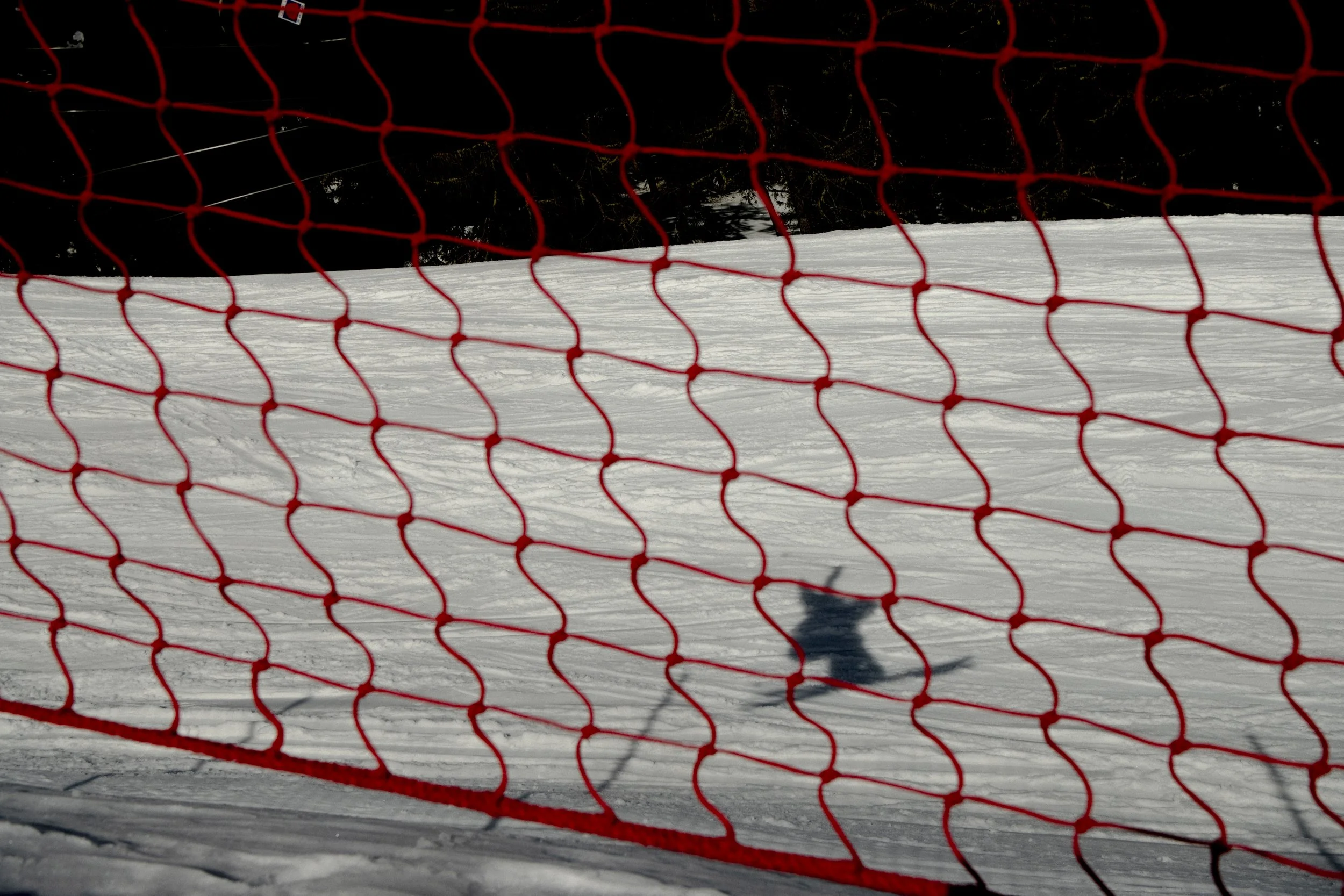 DSC_4034-Recovered.jpg