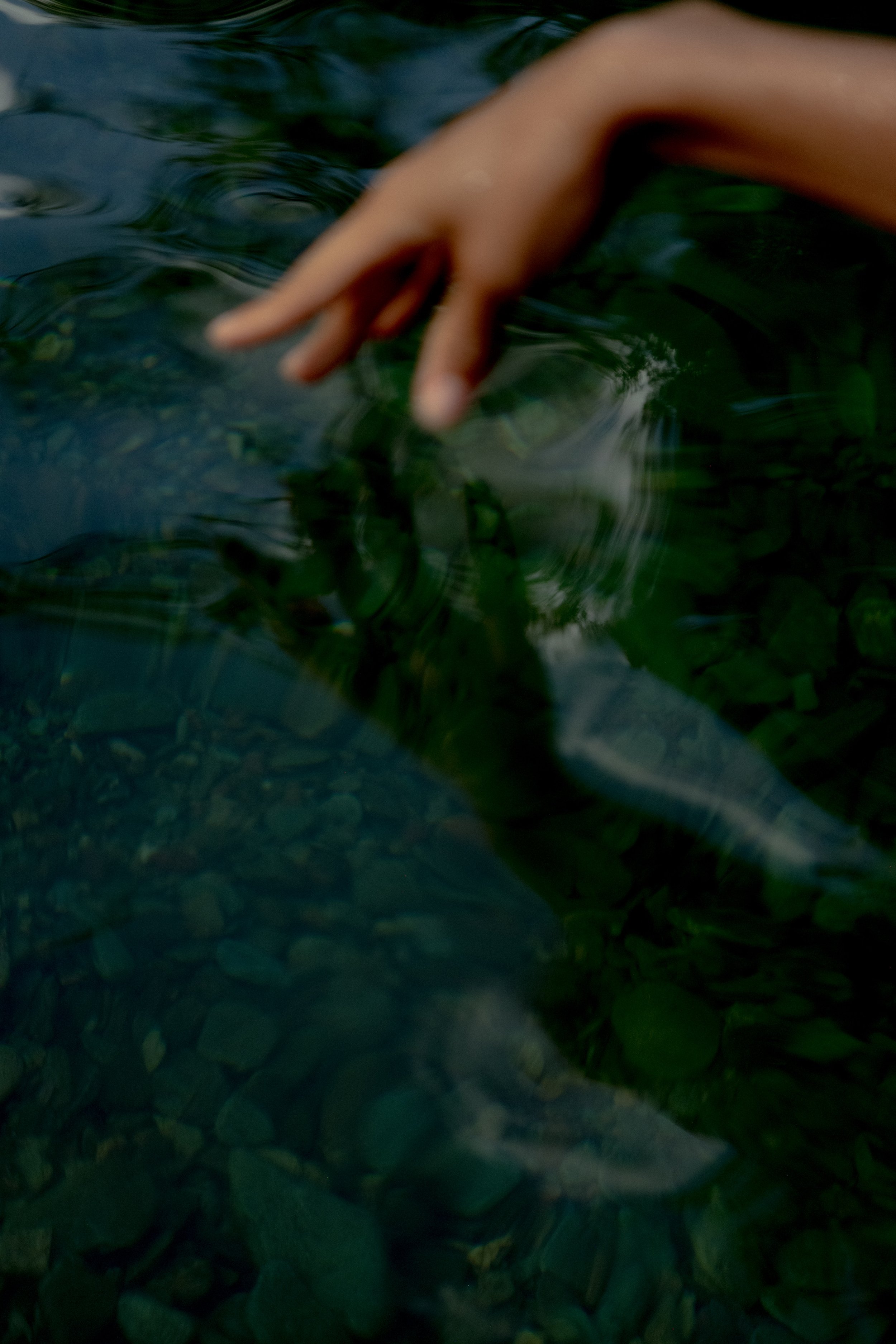 WGP_9234.jpg