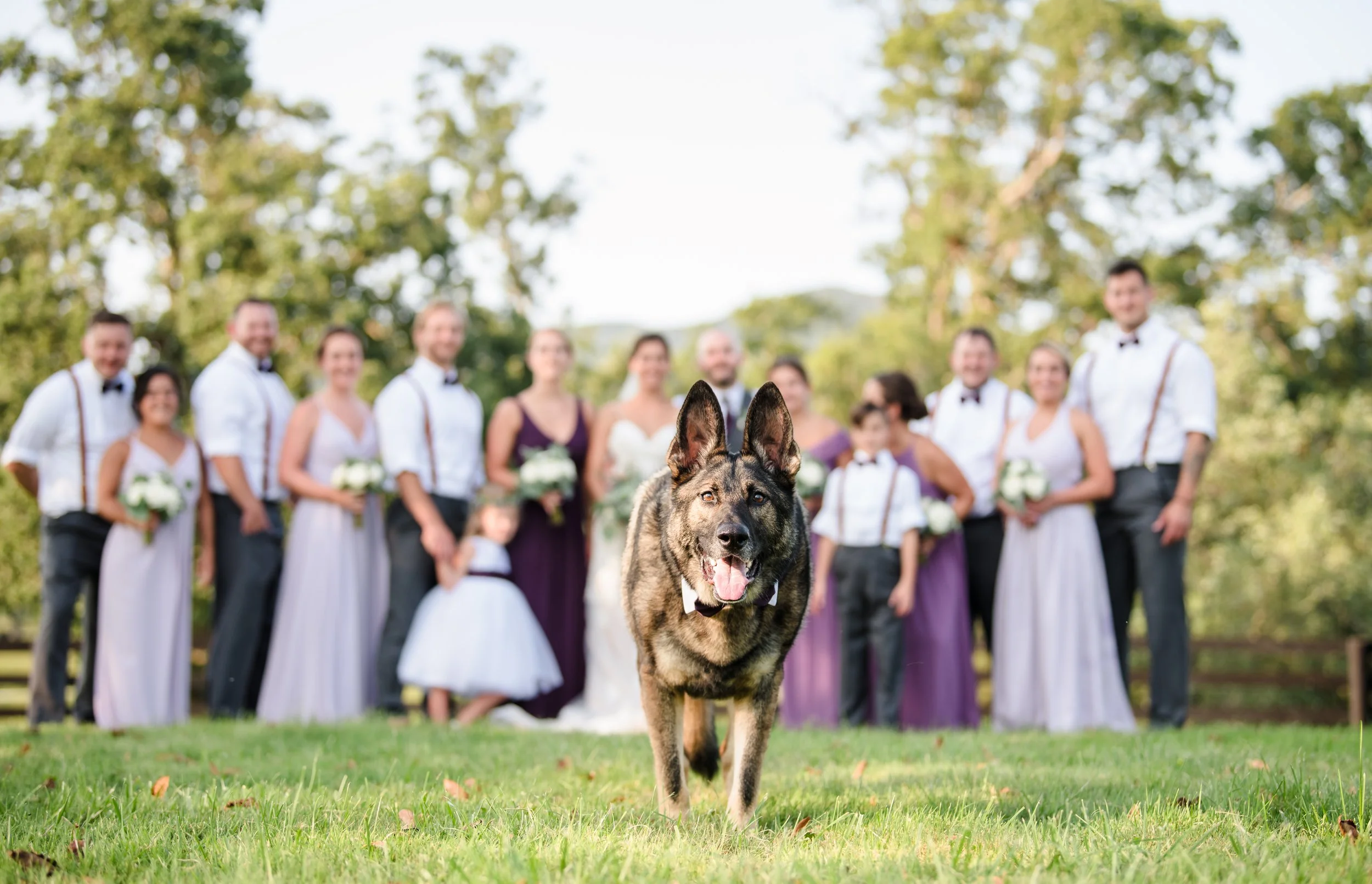 Gracyn & Matt Troxell Wedding Photo-410.jpg