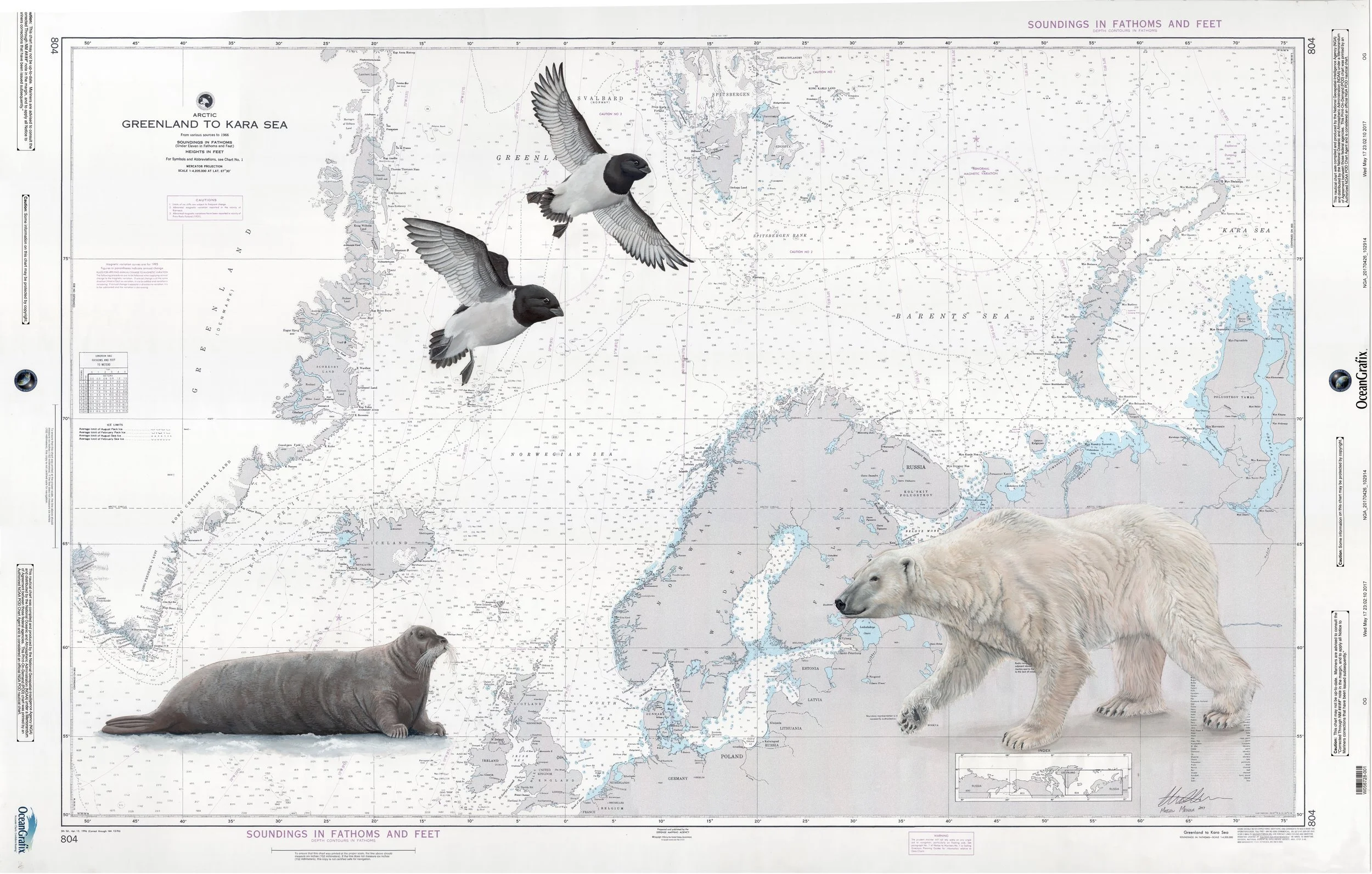 European Arctic Chart - $2000