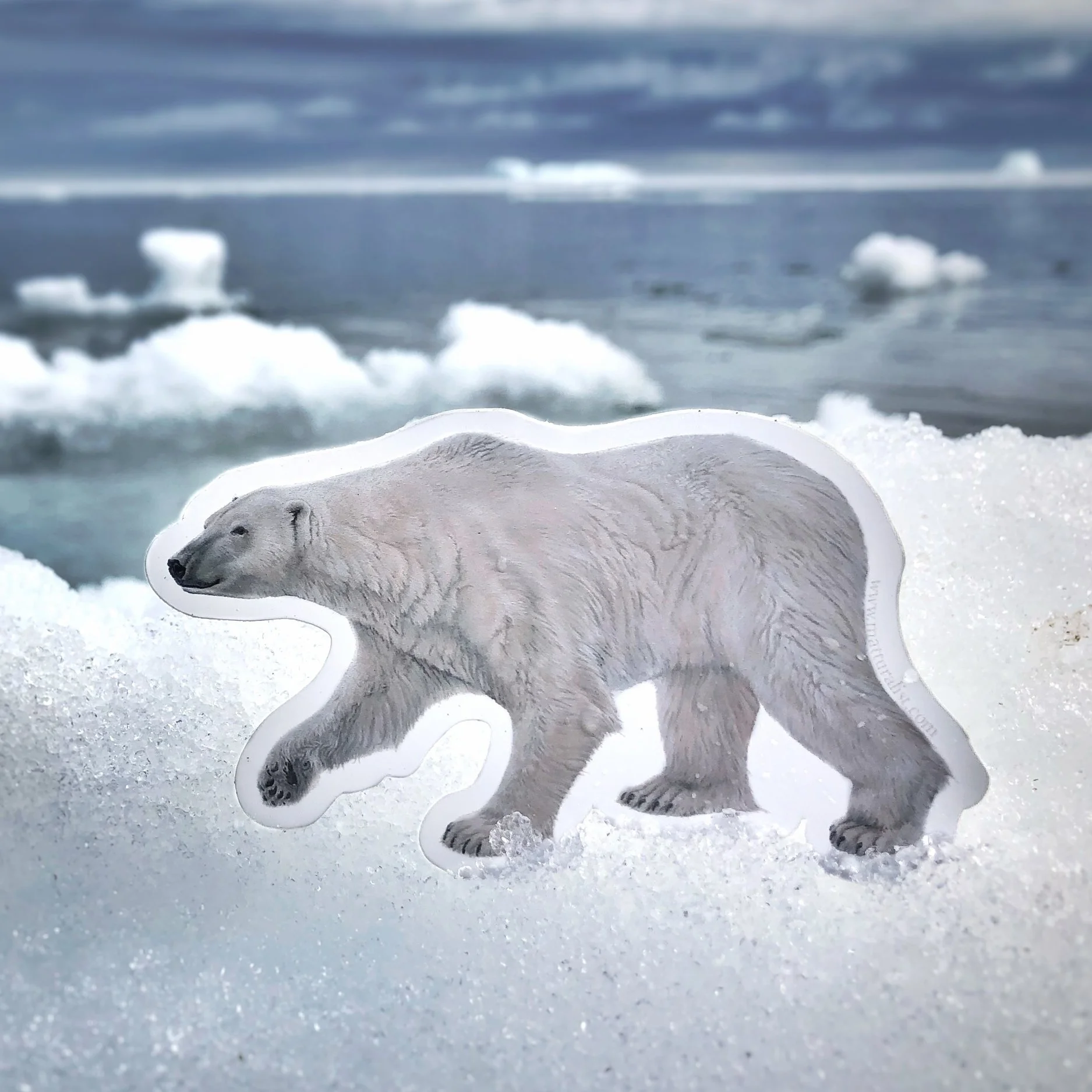 Polar Bear [Sticker]