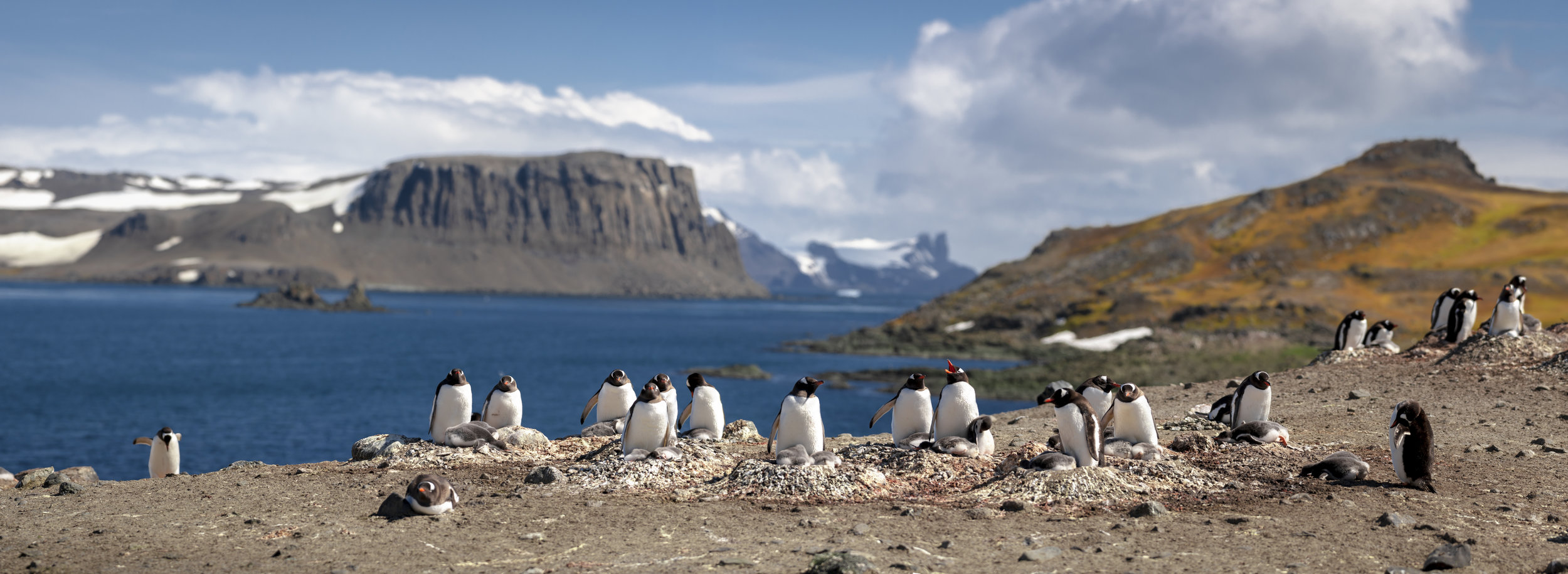 Barrientos Island Scene