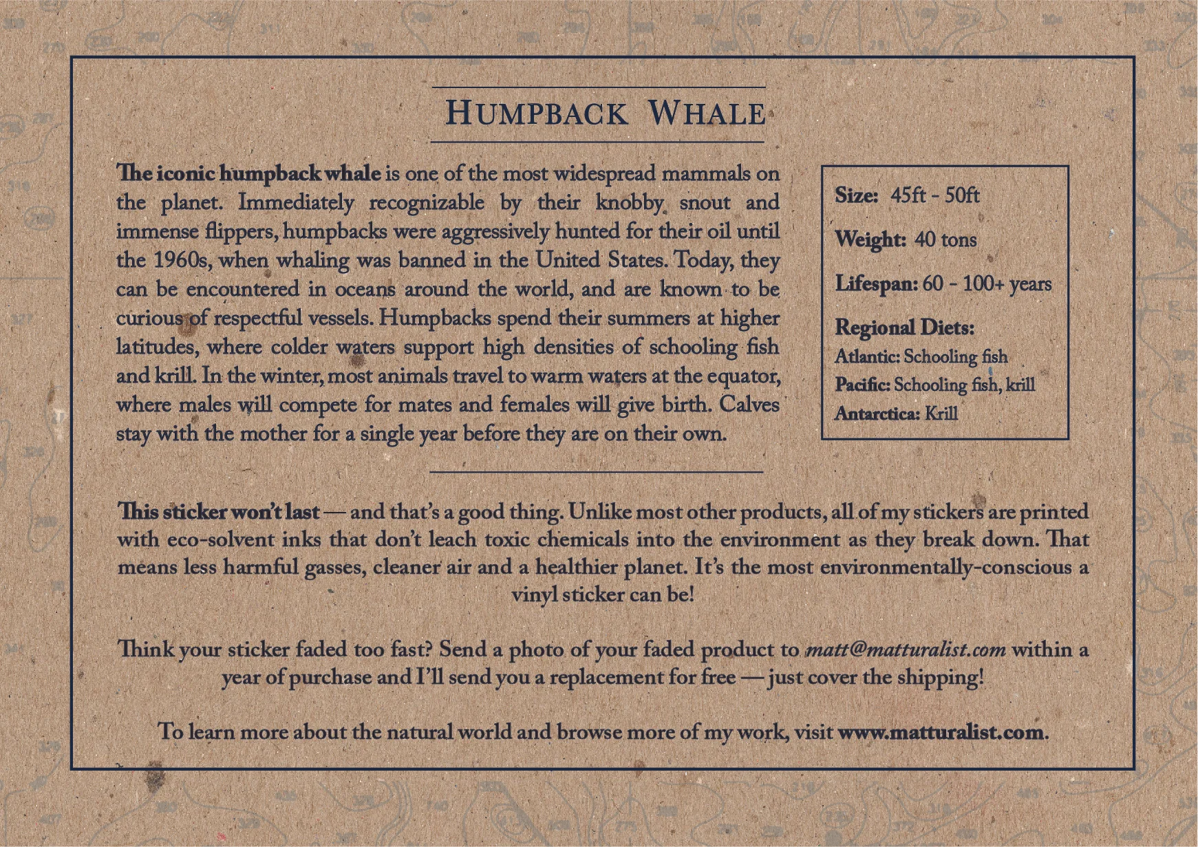 Humpback Sticker Backing-11.jpg