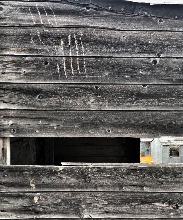 Brown bear scratch marks at an abandoned trappers&rsquo; camp in the Northwest Territories, Canada. With @aktravel_usa .
.
.
.
#arctic #abstract #expedition #canada #explore #architecture