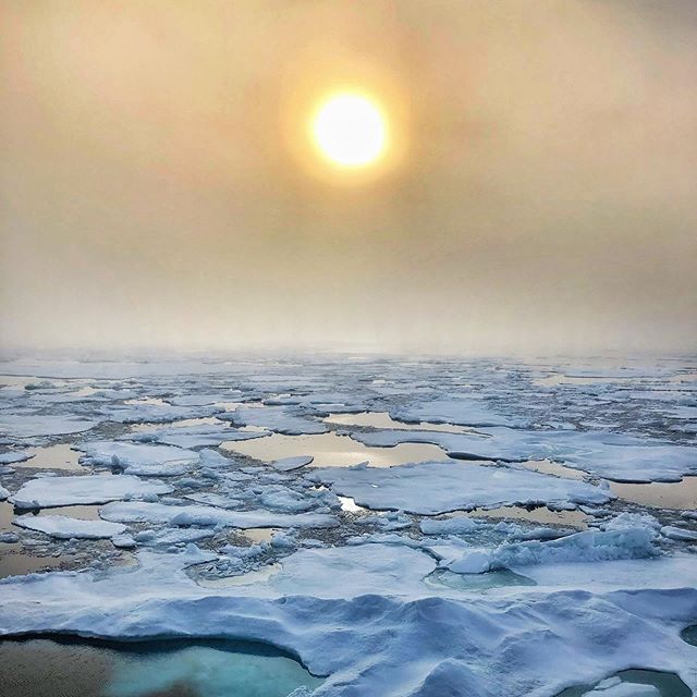 Sea ice and fog in the Beaufort Sea, Arctic Canada.
.
.
.
#nature #ice #polar #travels #abercrombiekent @aktravel_usa