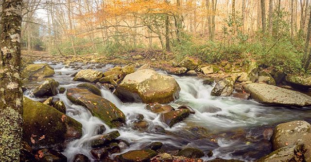 Still some beautiful color in the Smoky Mountains! .
.
.
#greatsmokymountains #optoutside #findyourpark #oranypark