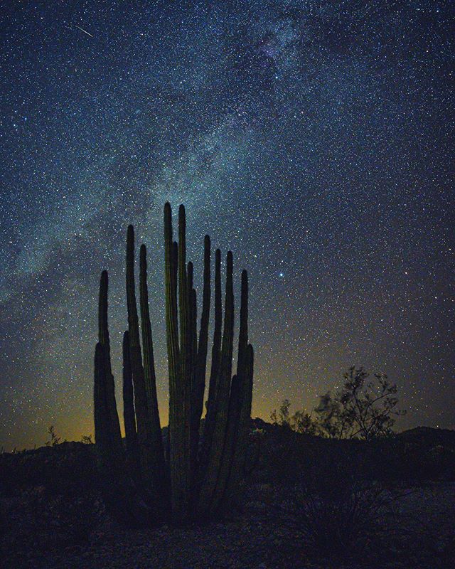 The last night of our trip, I spent a couple hours attempting some astro-photography in the incredible Organ Pipe Cactus National Monument. The nighttime silence of this remote wilderness is a bit unnerving, especially considering the close proximity