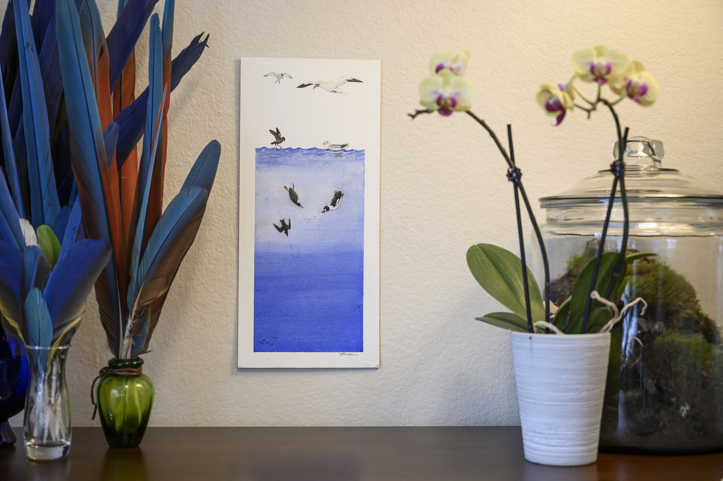 Seabird Foraging Behavior [Original]