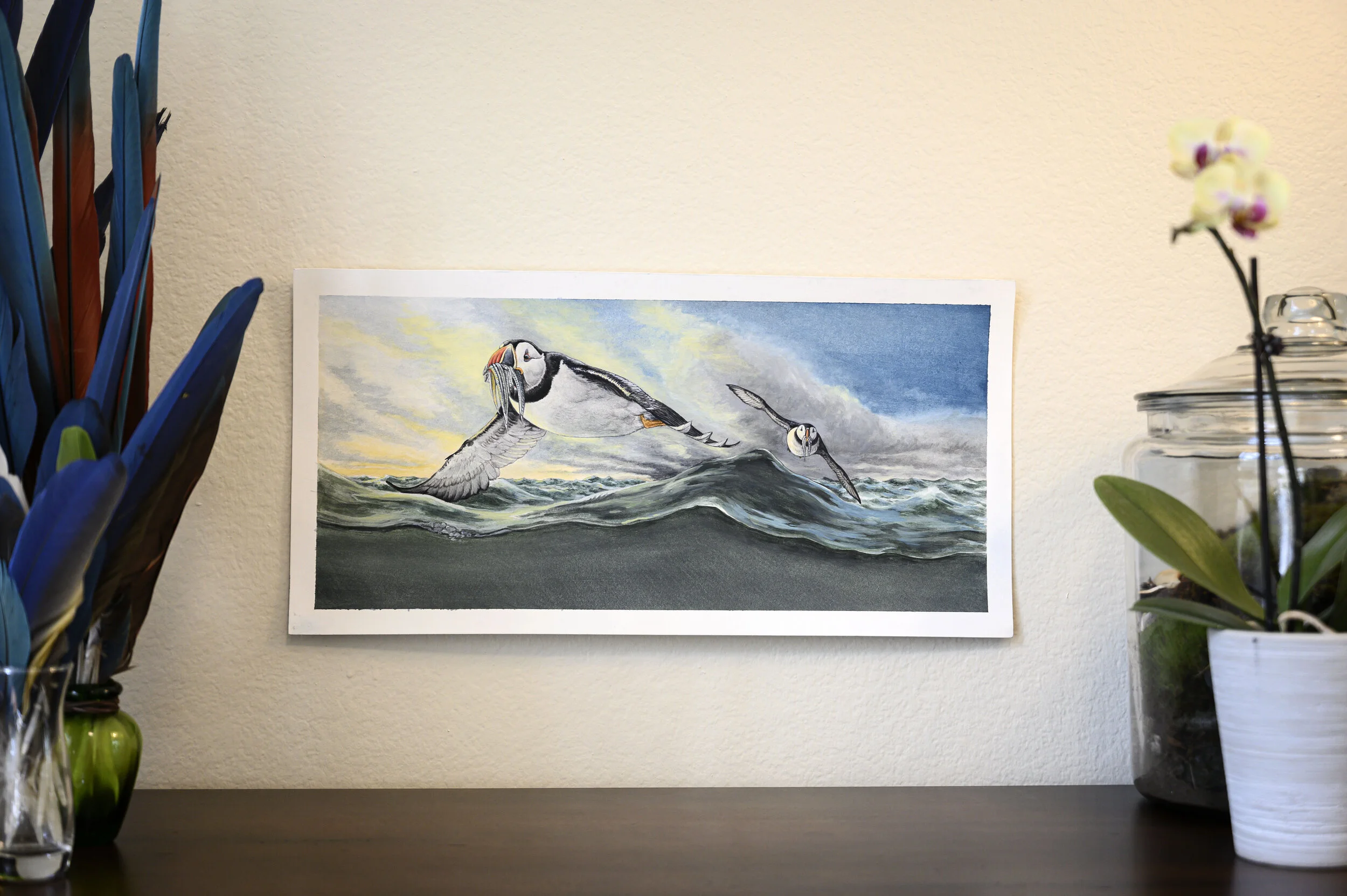 Atlantic Puffins and Sand Lance [Original]