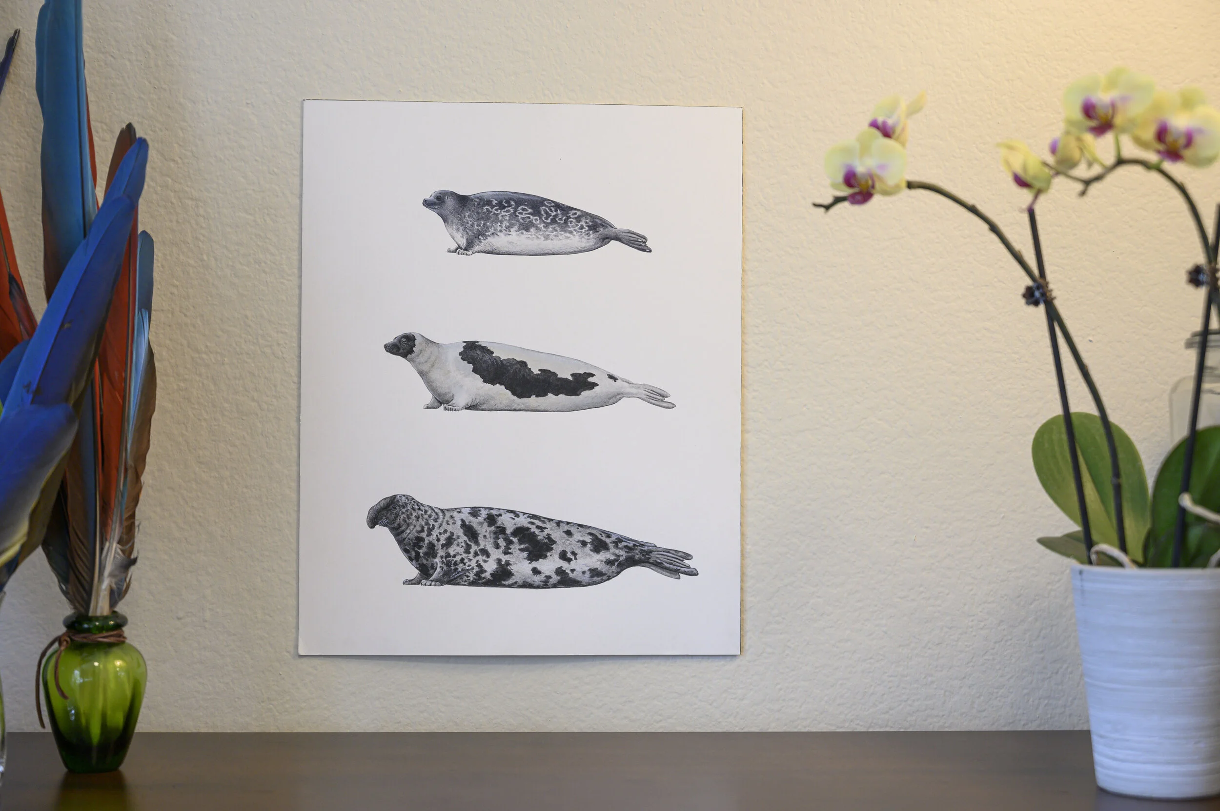 Arctic Ice Seals [Original]