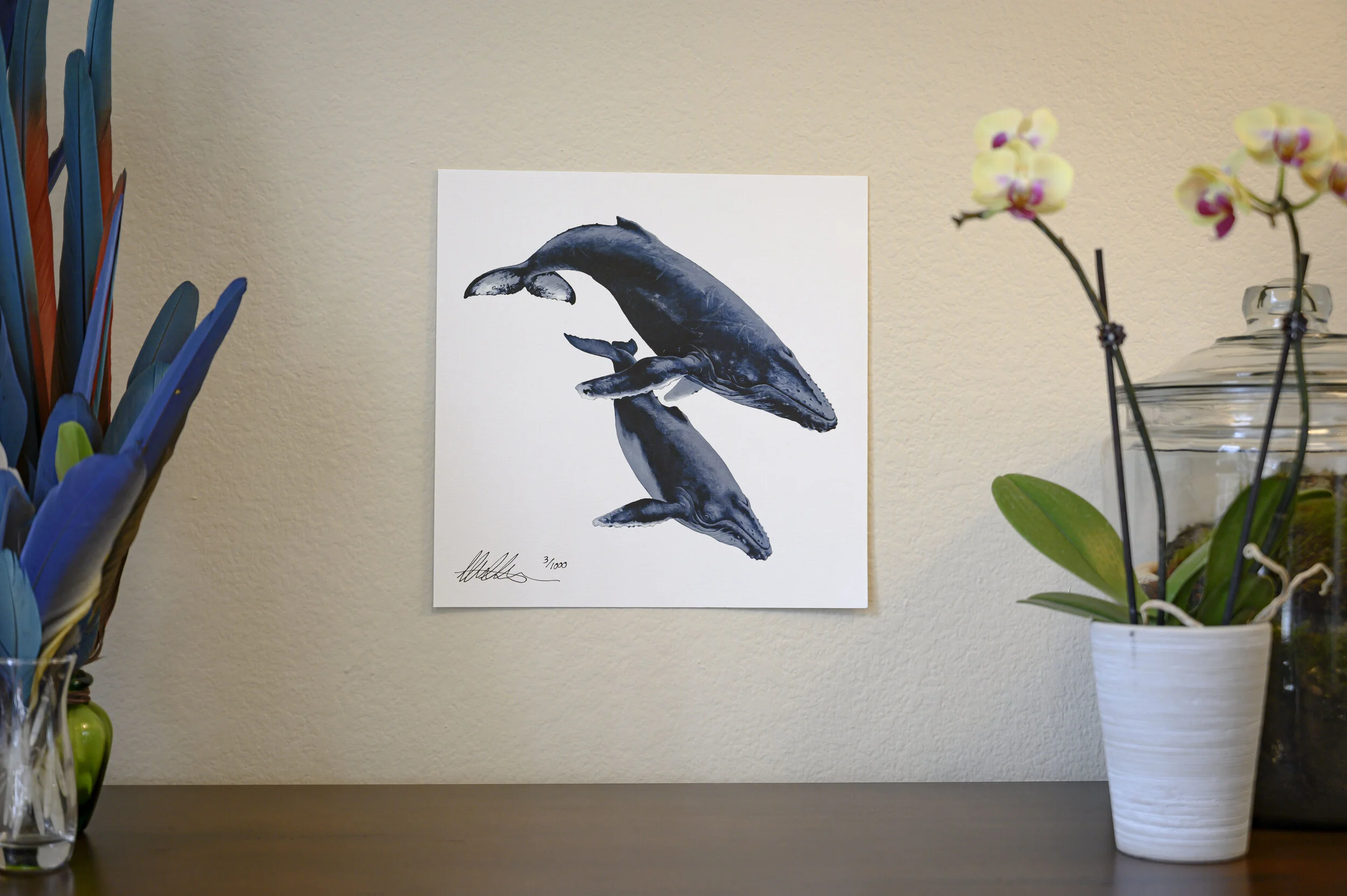 Humpback Whales [Print]