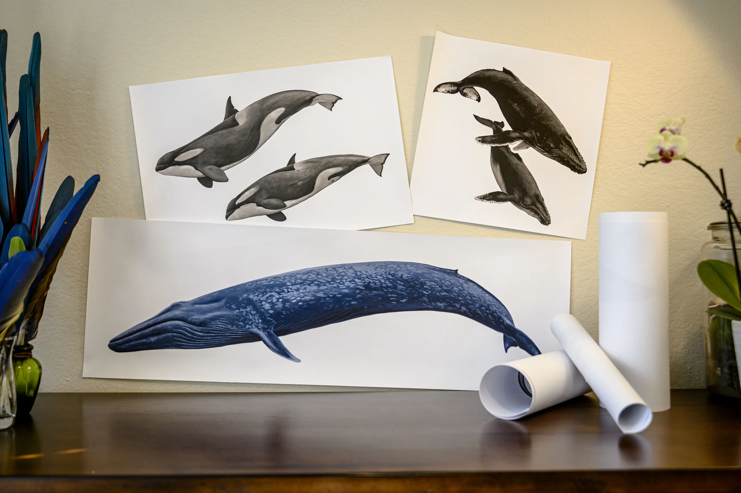 Prints [Factory Seconds]