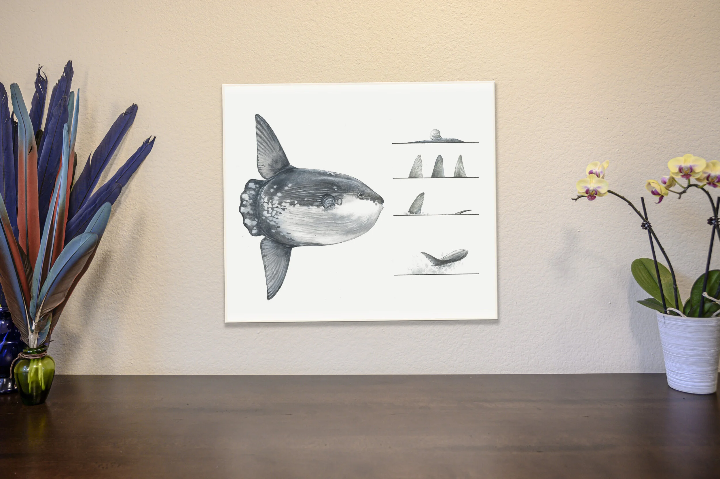 Ocean Sunfish [Original]