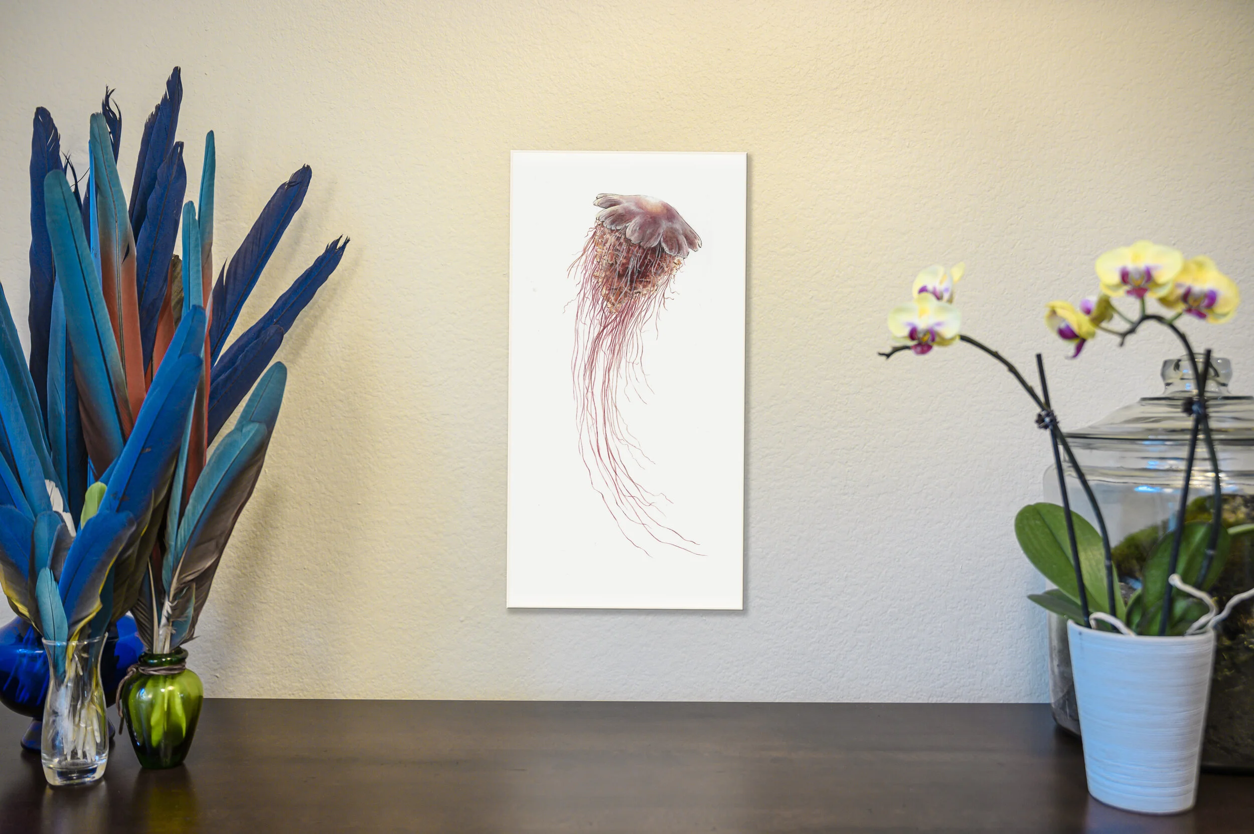 Lionsmane Sea Jelly [Original]