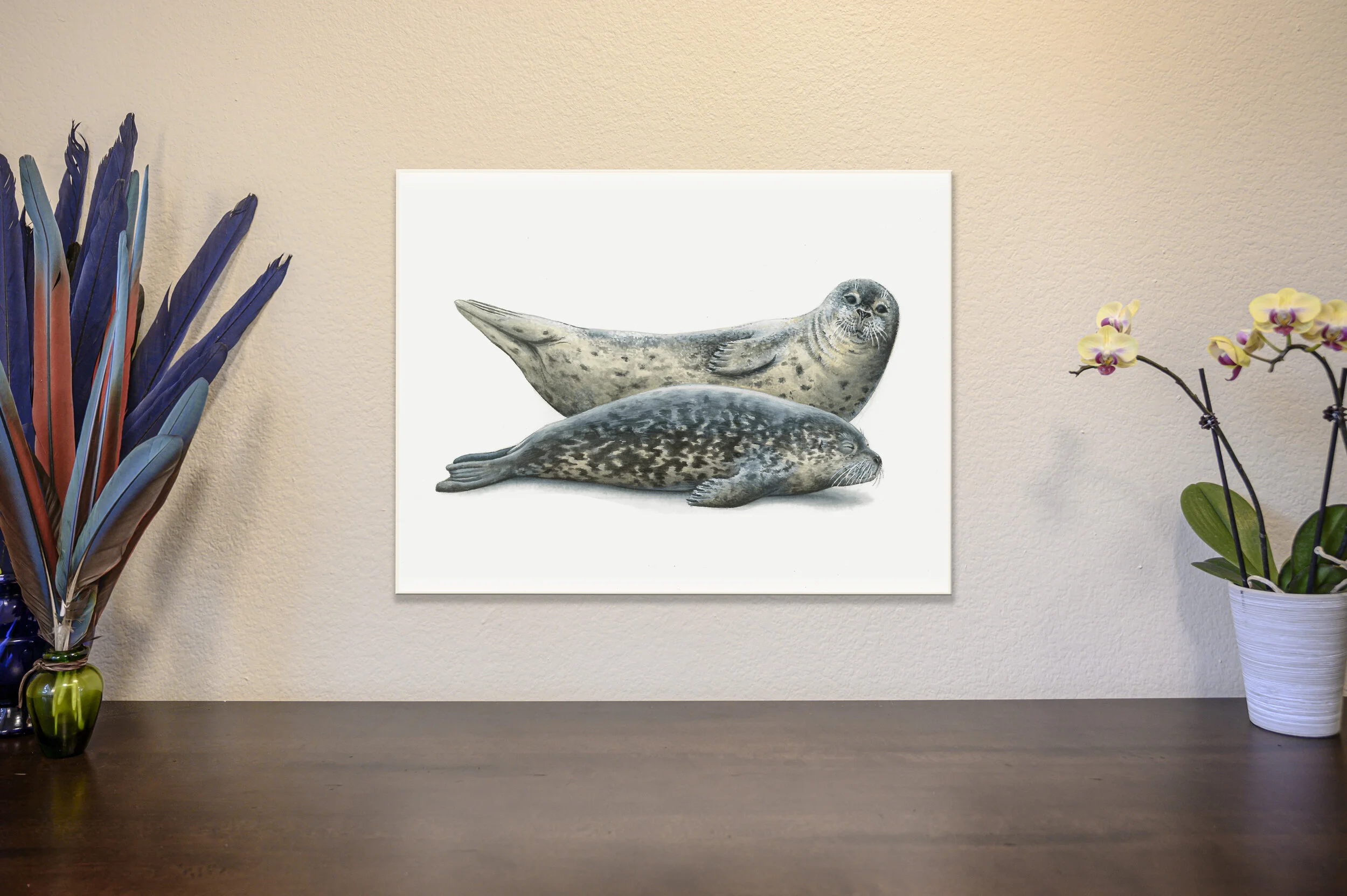 Harbor Seals [Original]