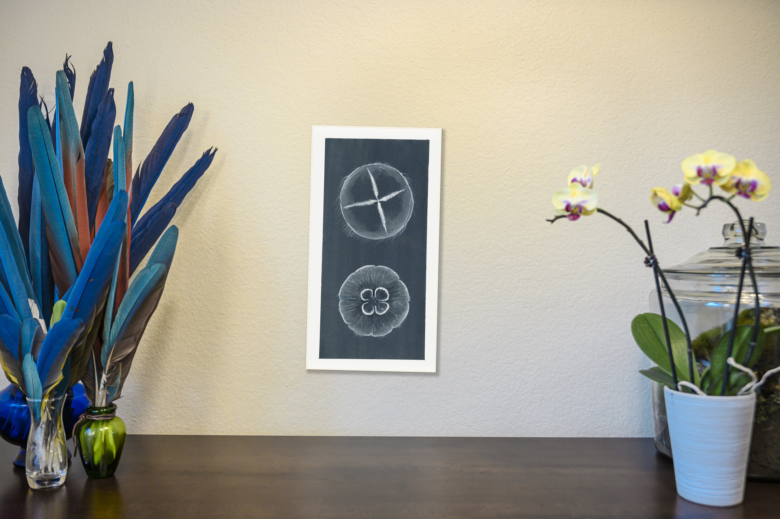 Sea Jellies [Original]