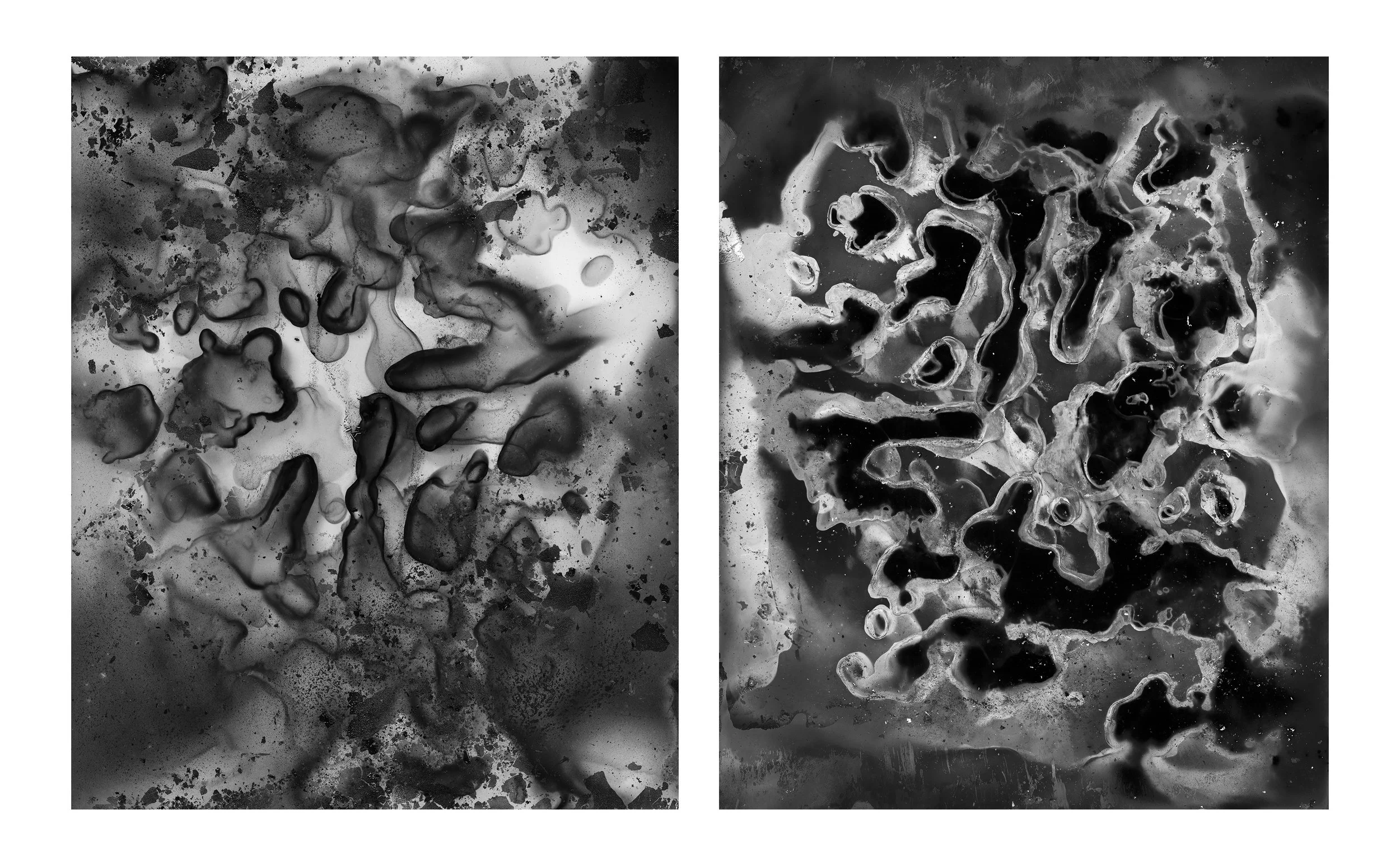 Rust No.1 Rust No.2 Diptych.jpg