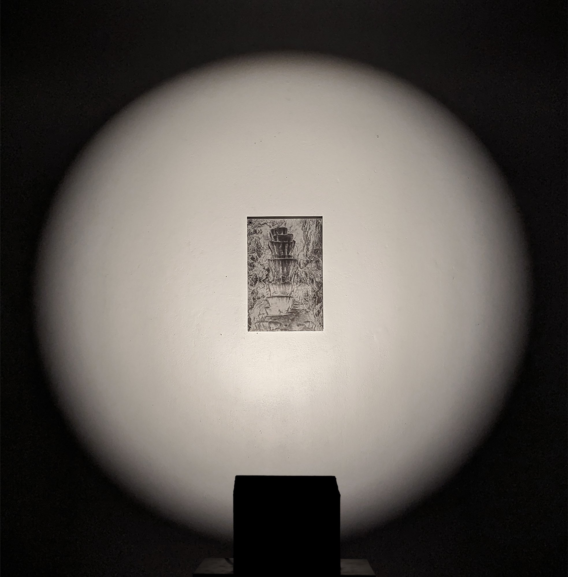 Specimen Intallation copy.jpg