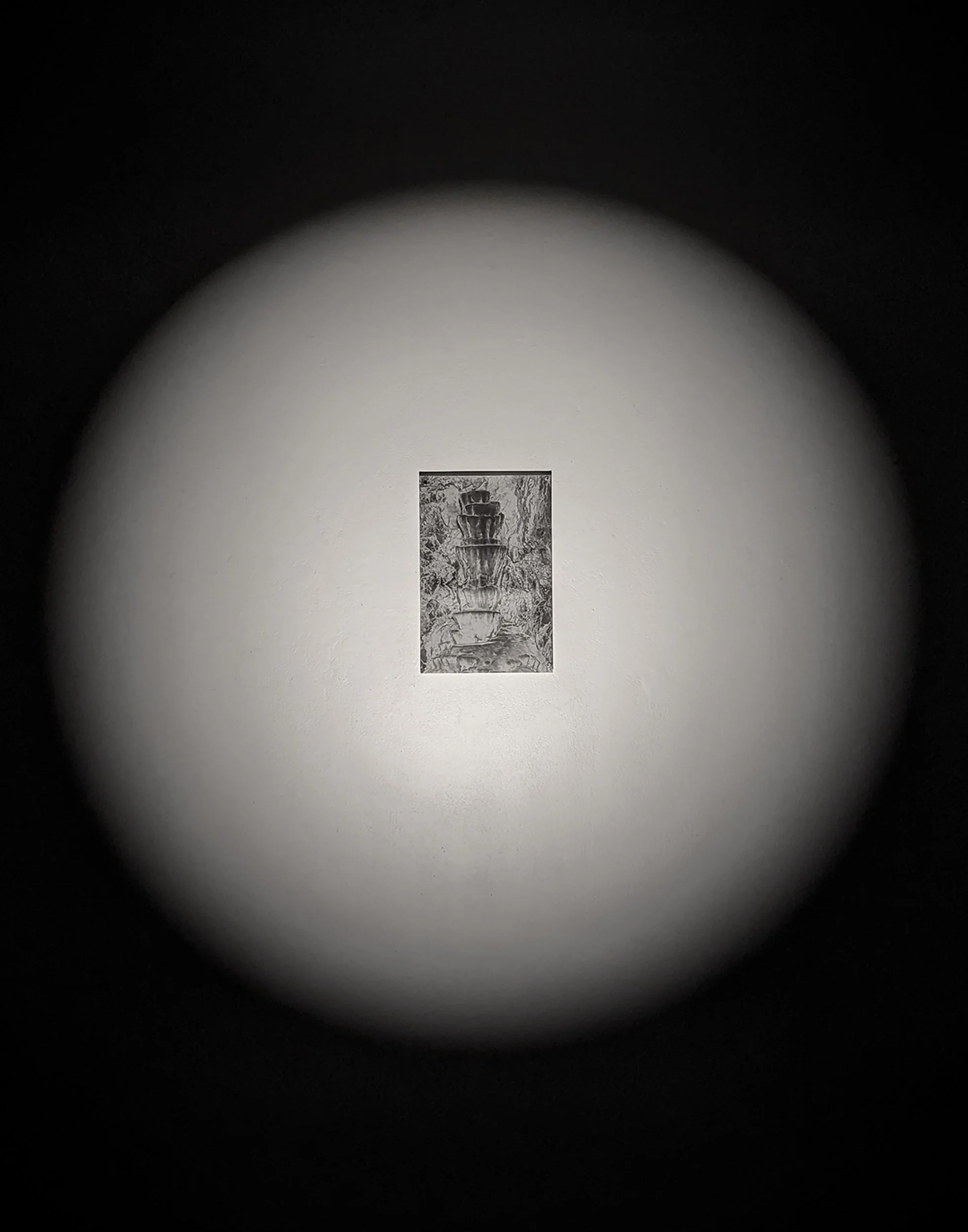 09_Specimen Intallation copy.jpg